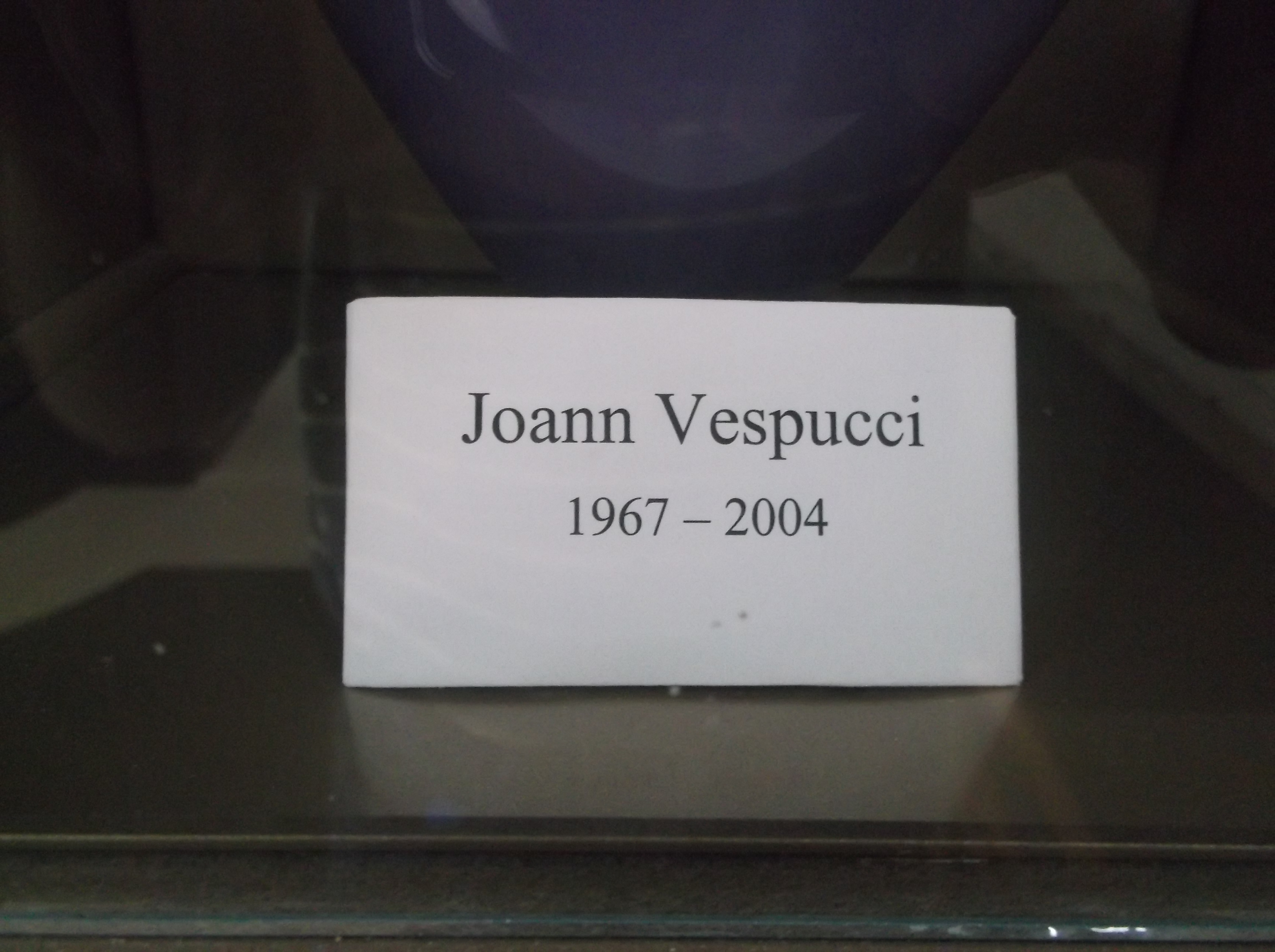 Joann Vespucci