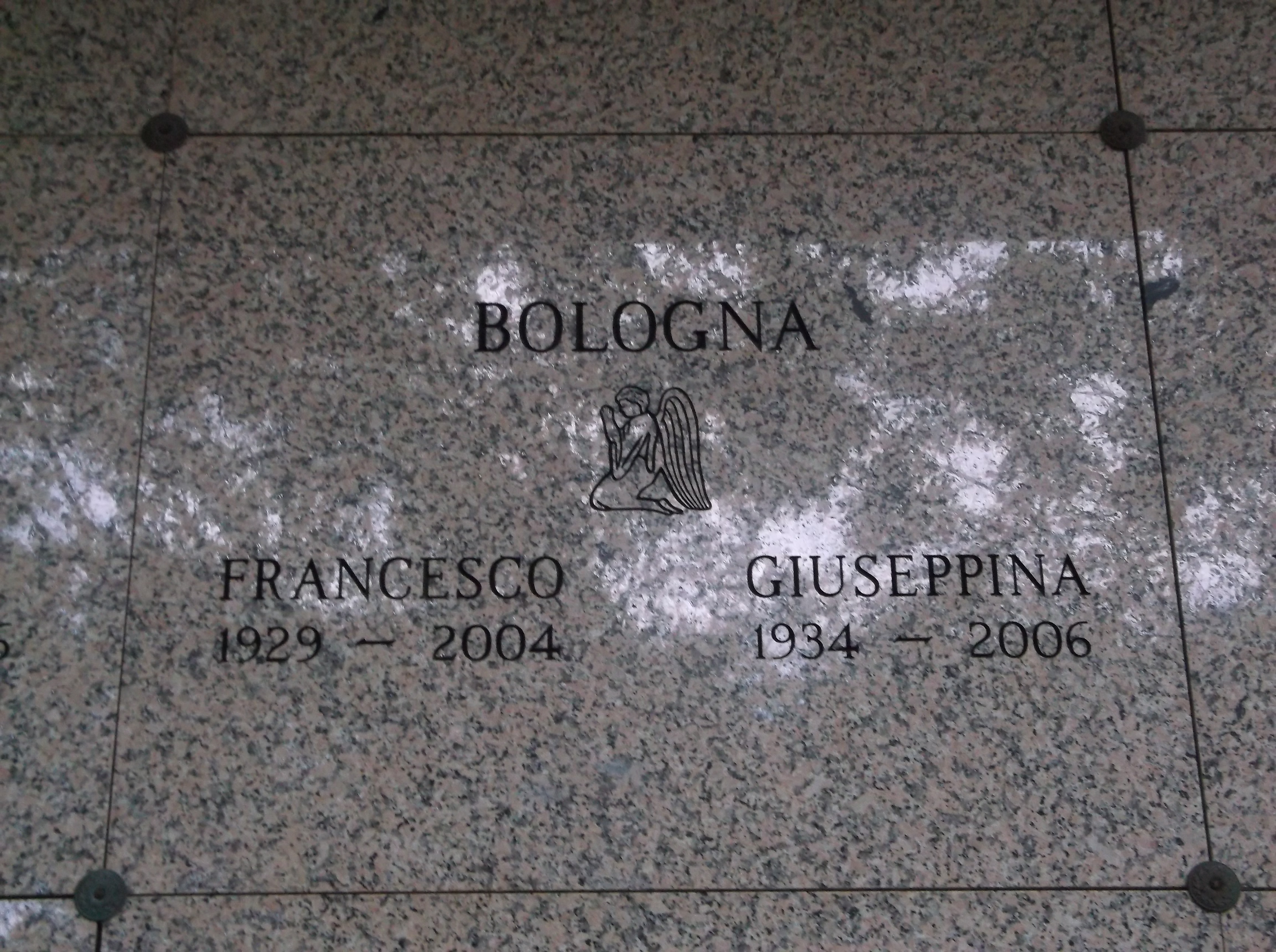 Francesco Bologna
