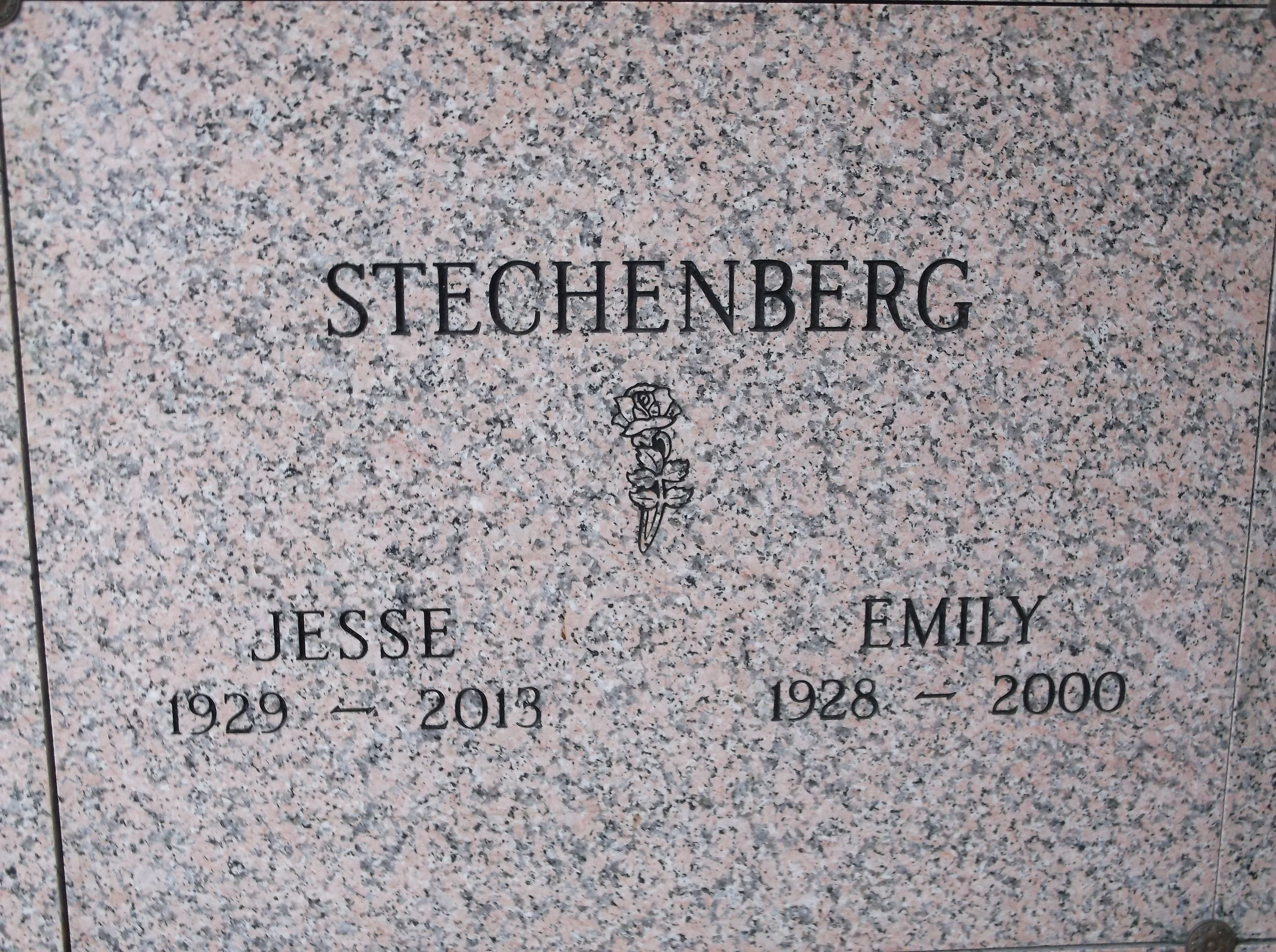 Jesse Stechenberg
