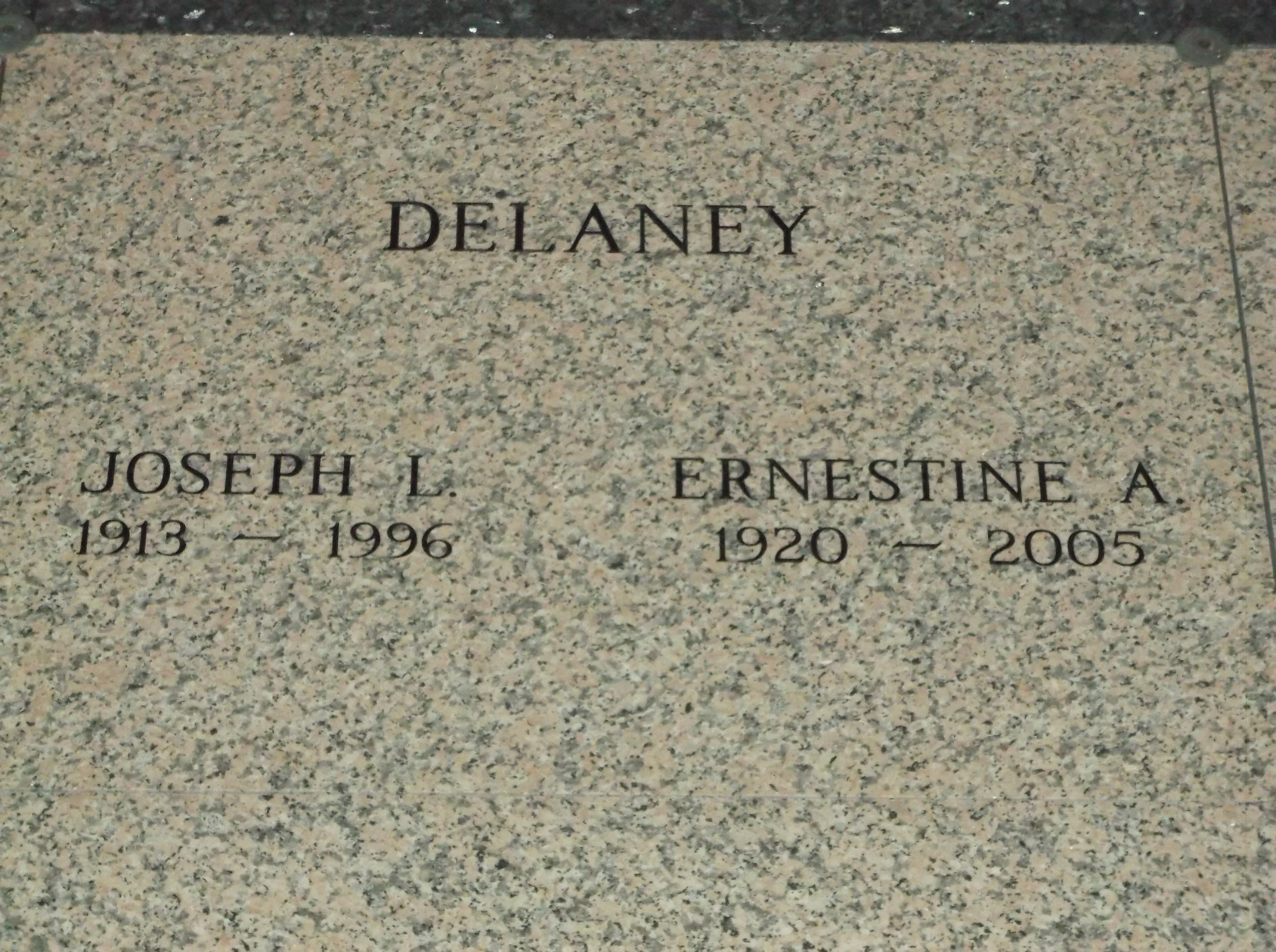 Joseph L Delaney
