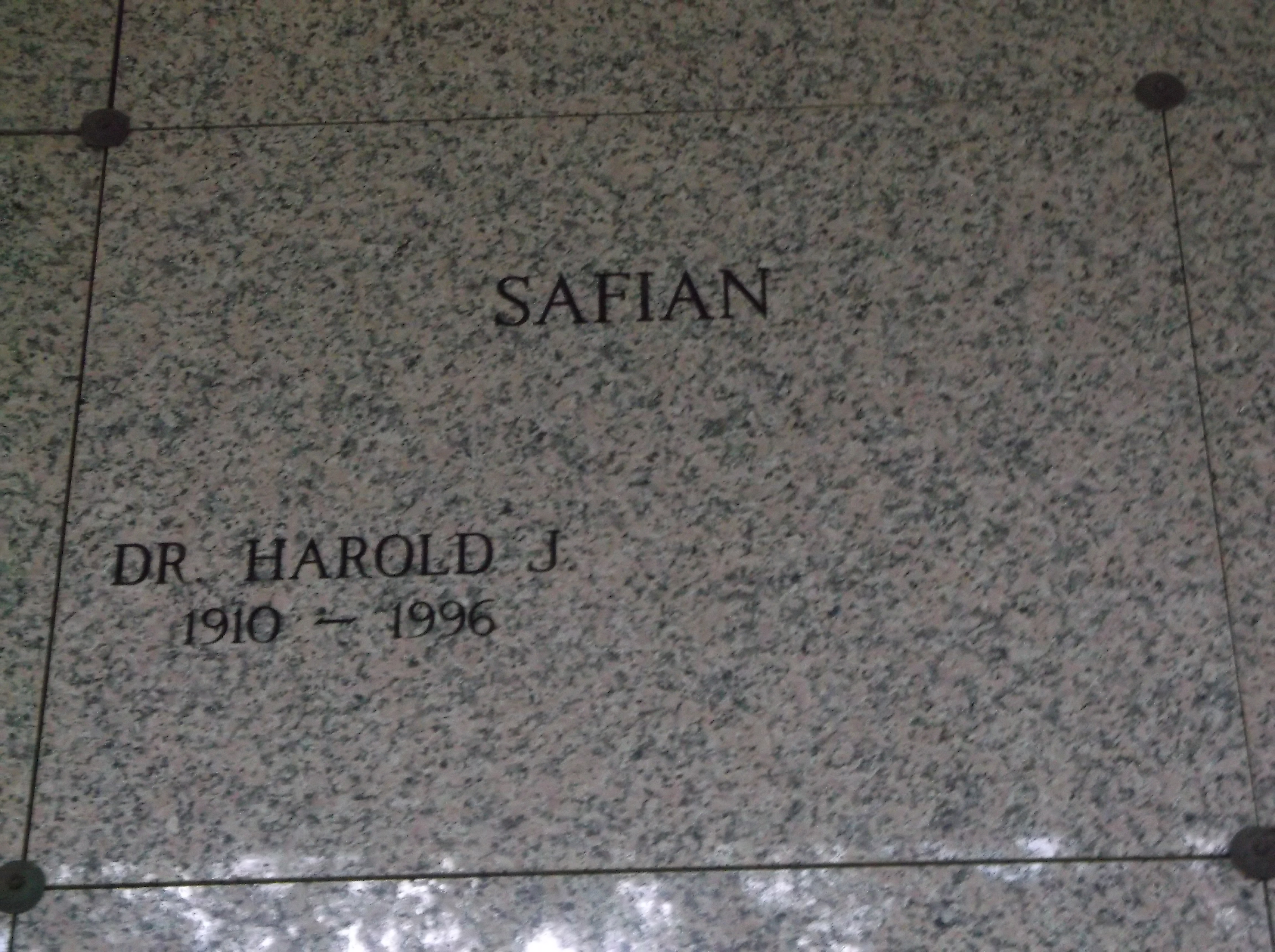 Dr Harold J Safian