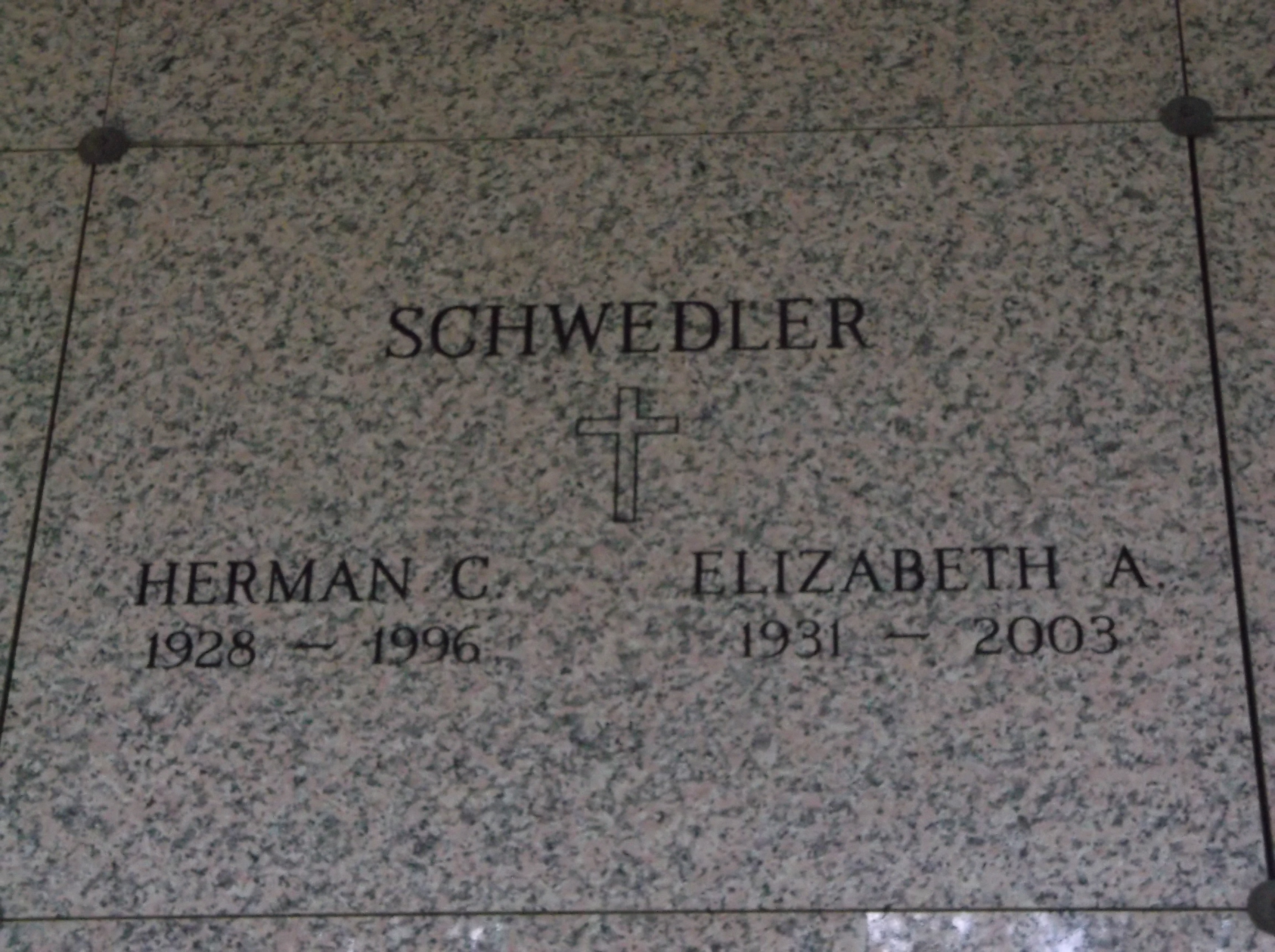 Elizabeth A Schwedler
