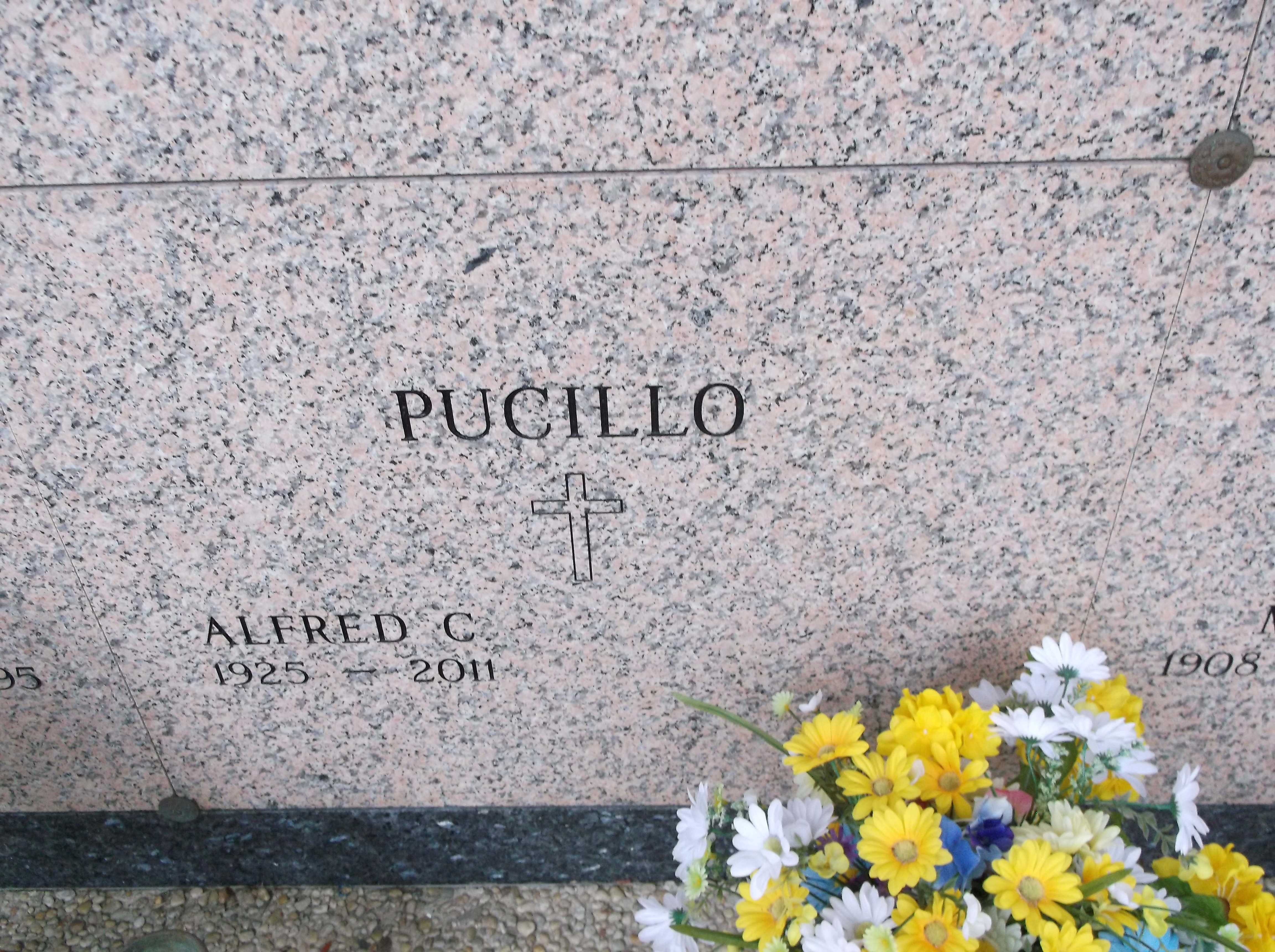 Alfred C Pucillo