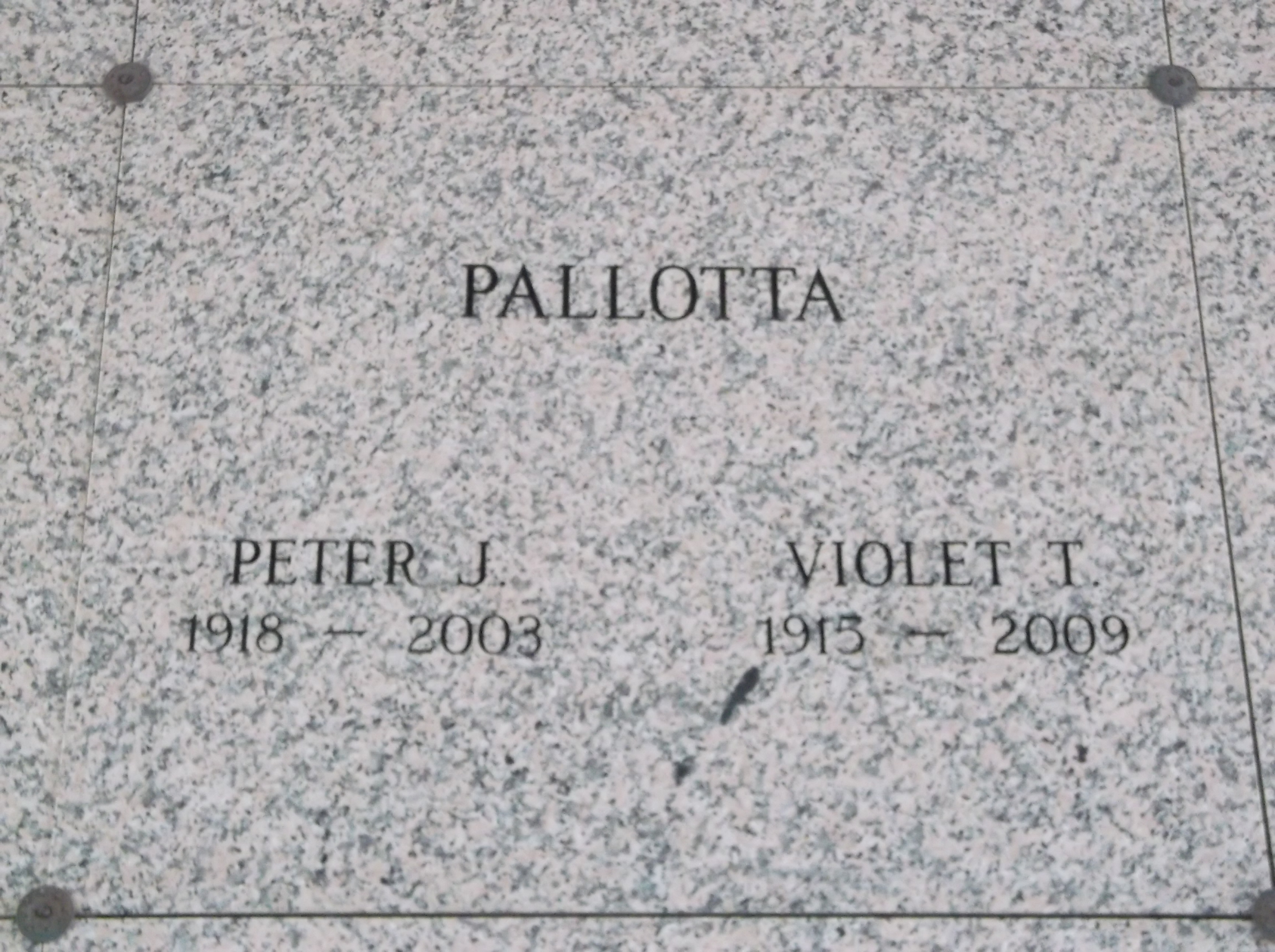 Peter J Pallotta