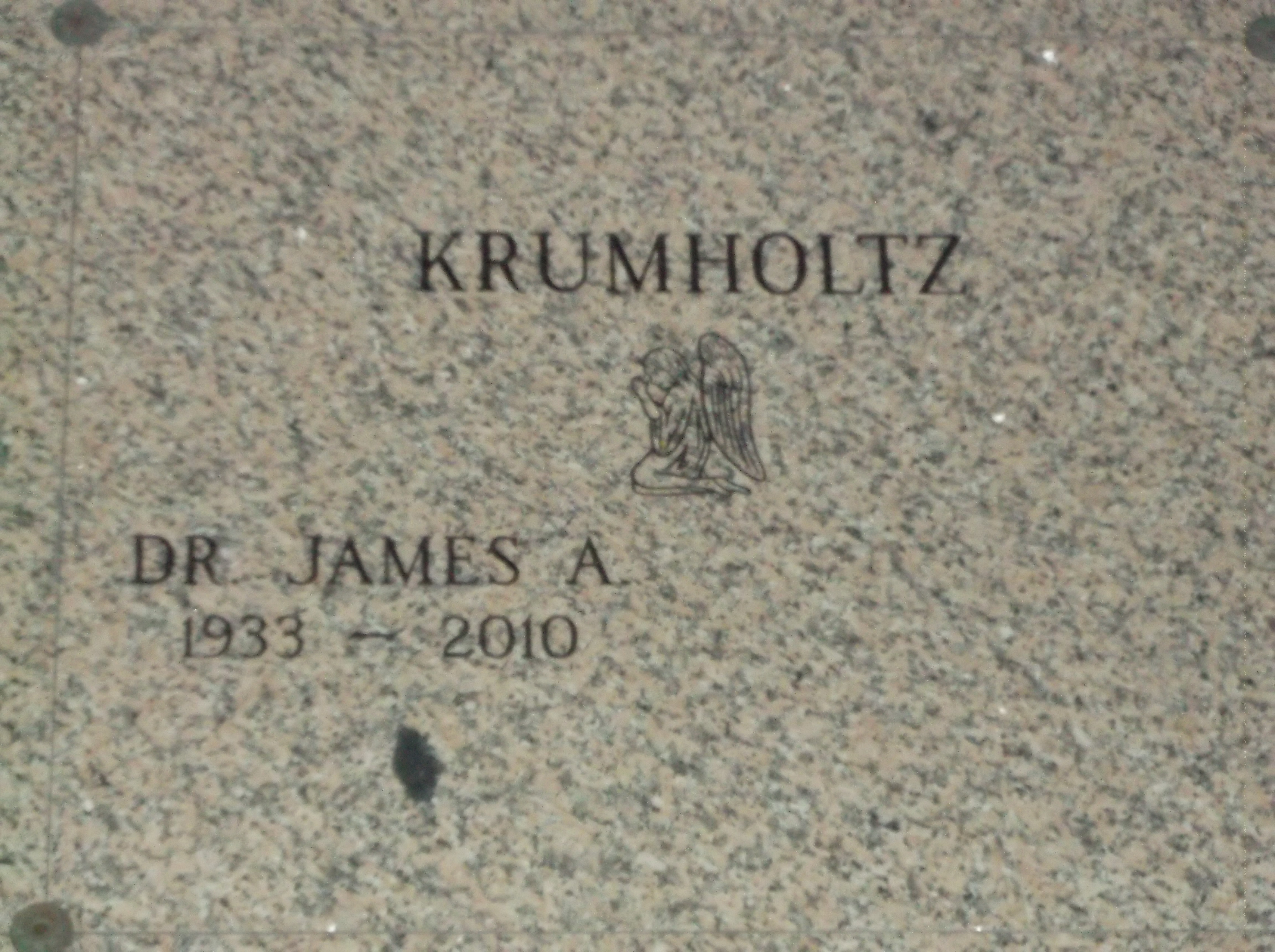 Dr James A Krumholtz