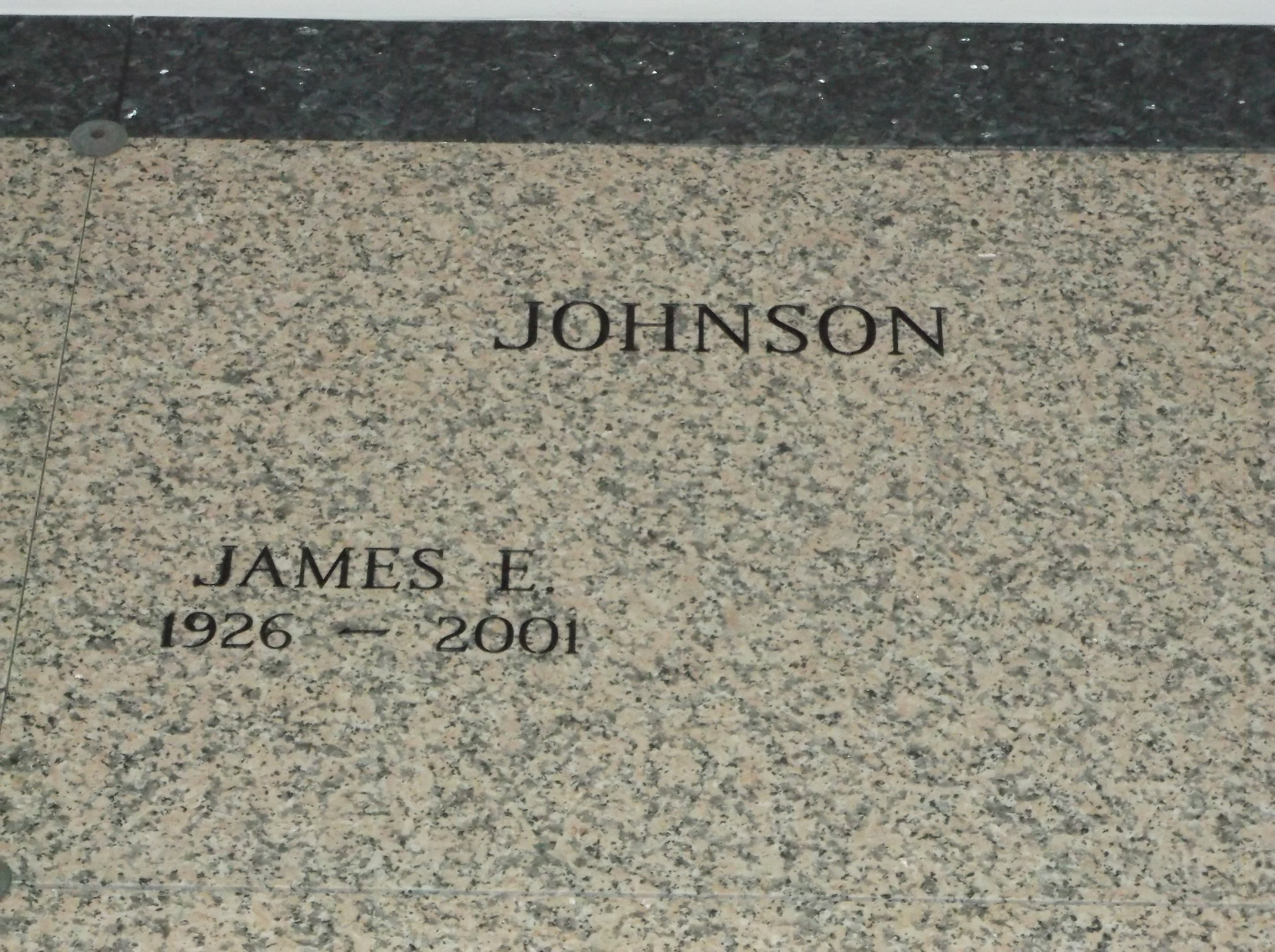 James E Johnson