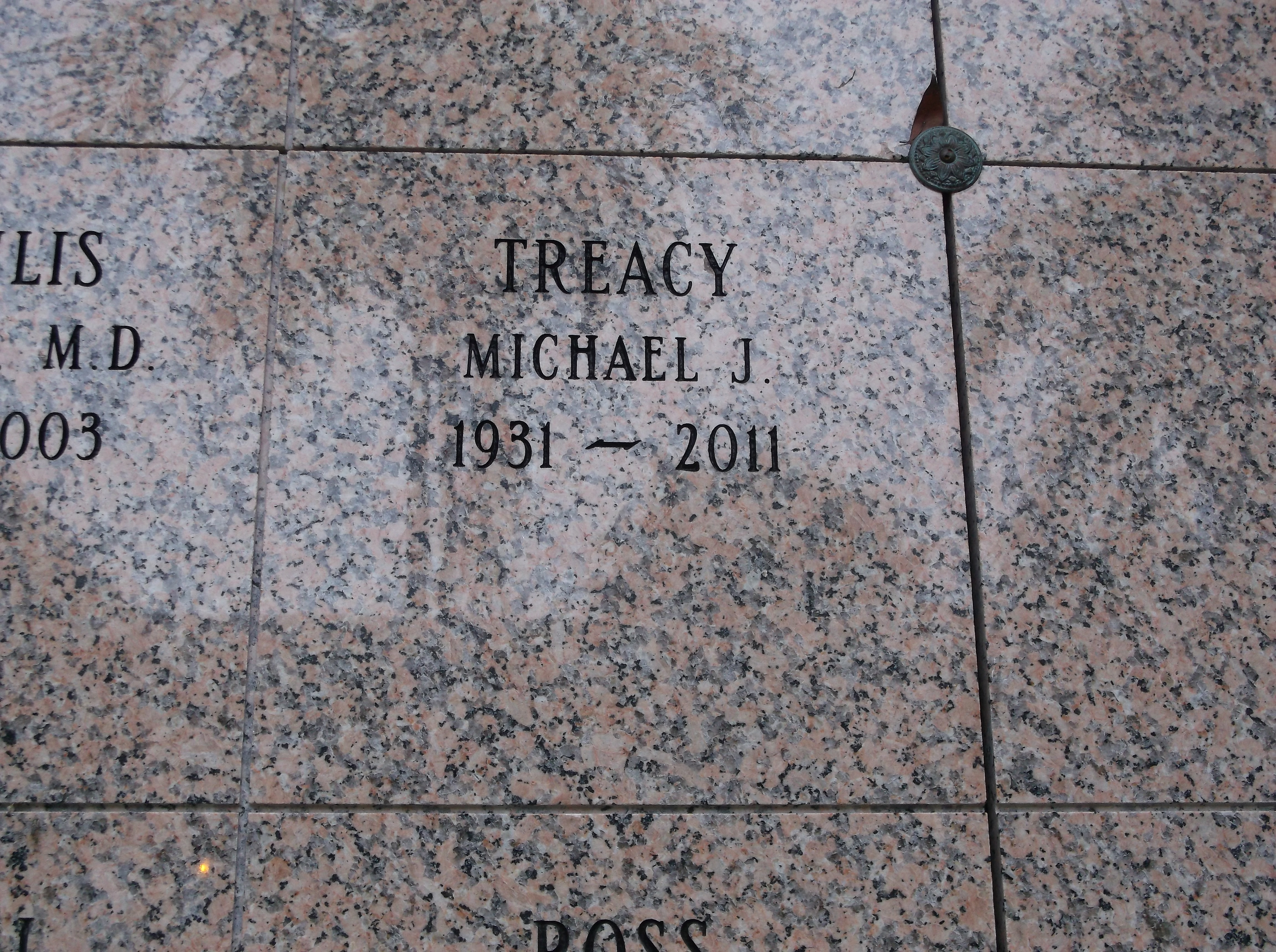 Michael J Treacy