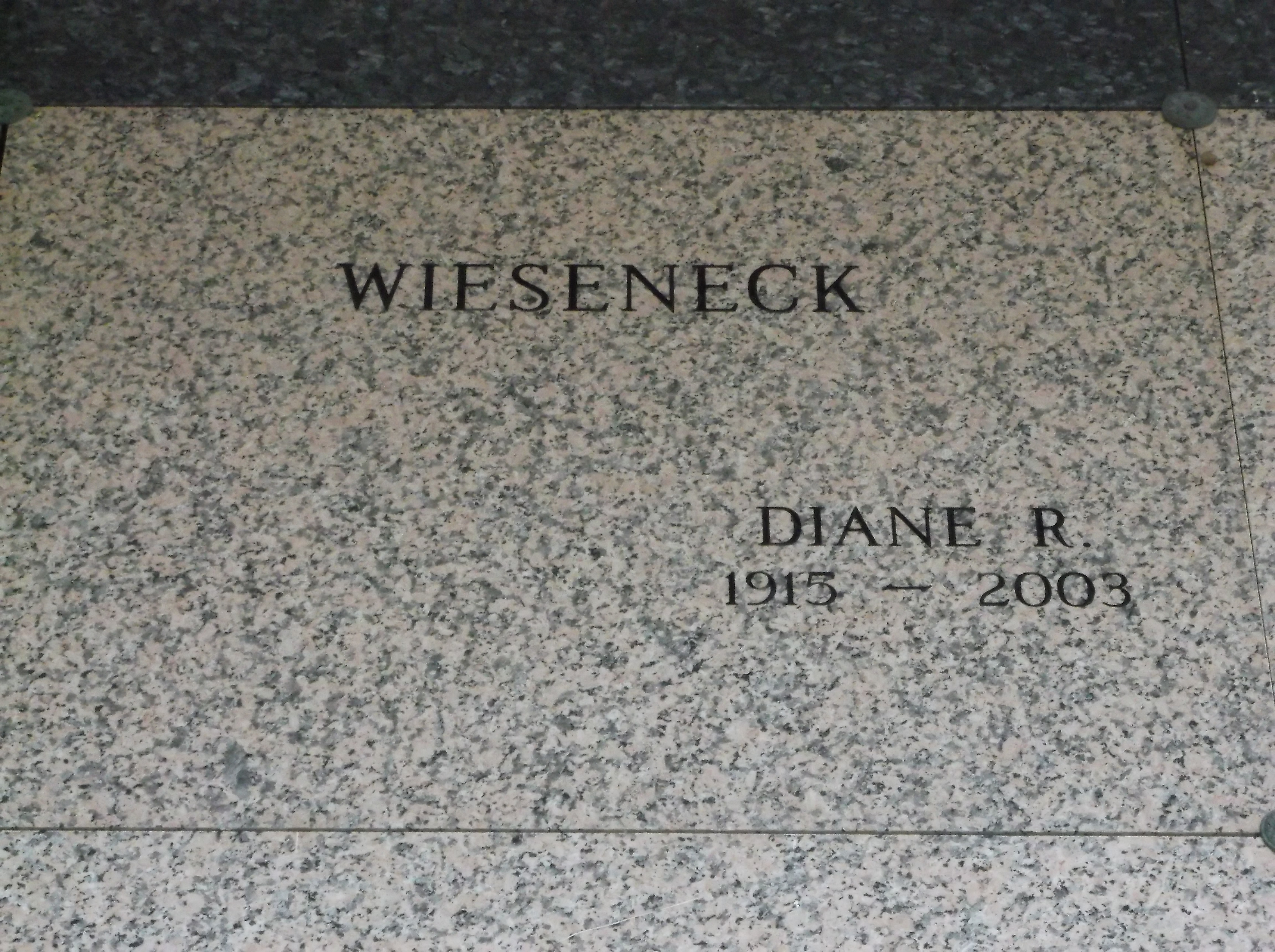 Diane R Wieseneck