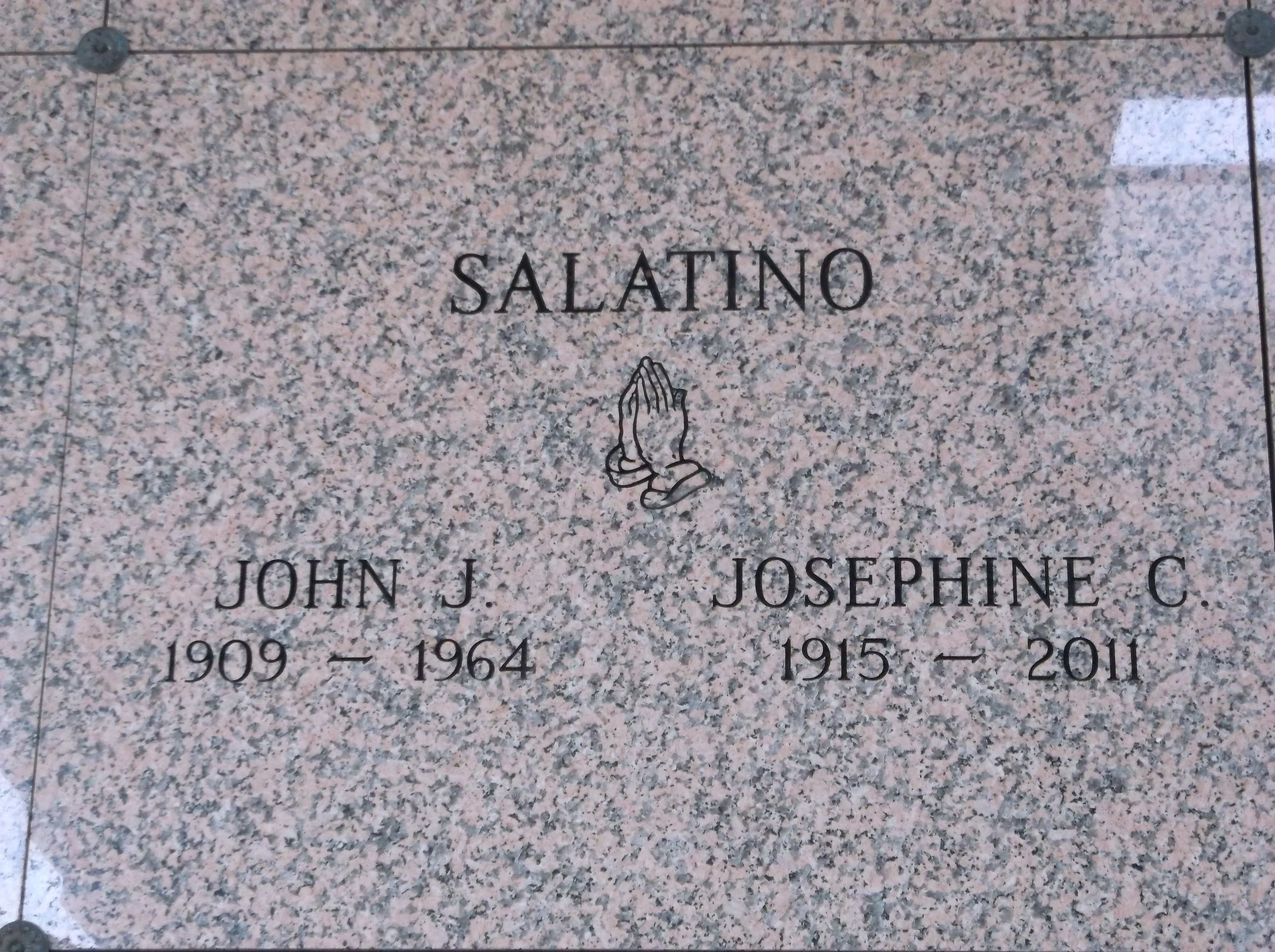 Josephine C Salatino