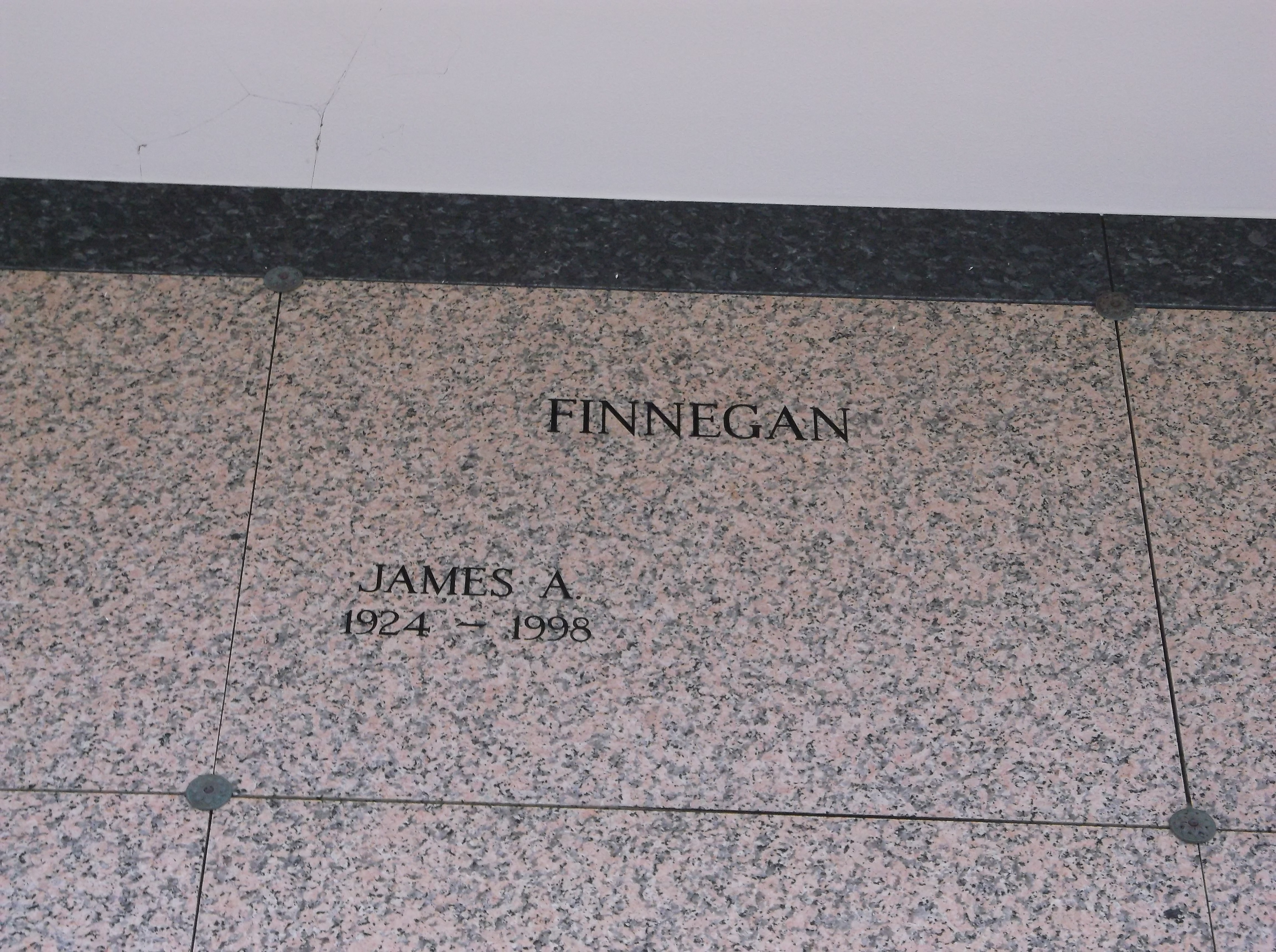 James A Finnegan
