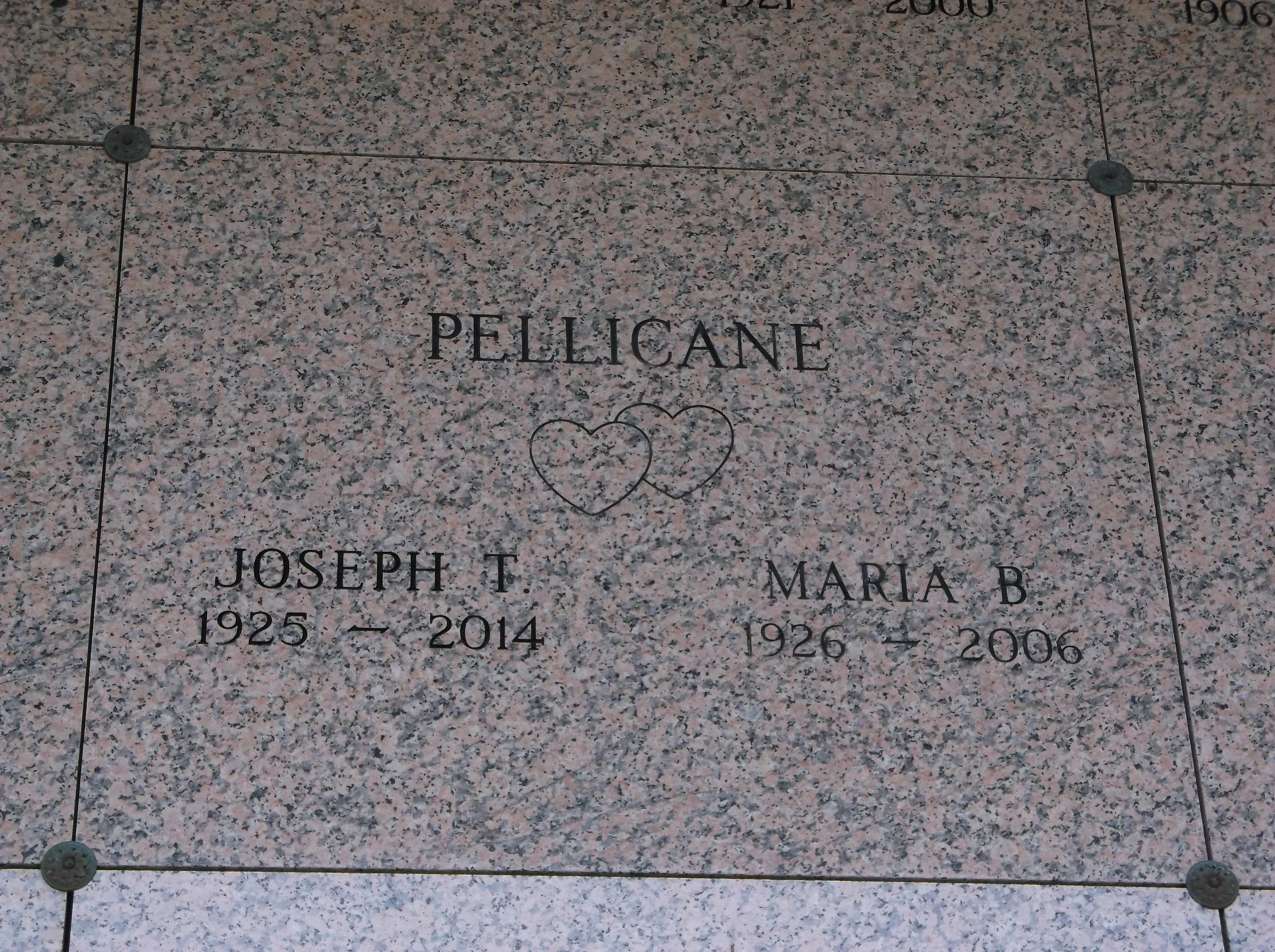 Joseph T Pellicane