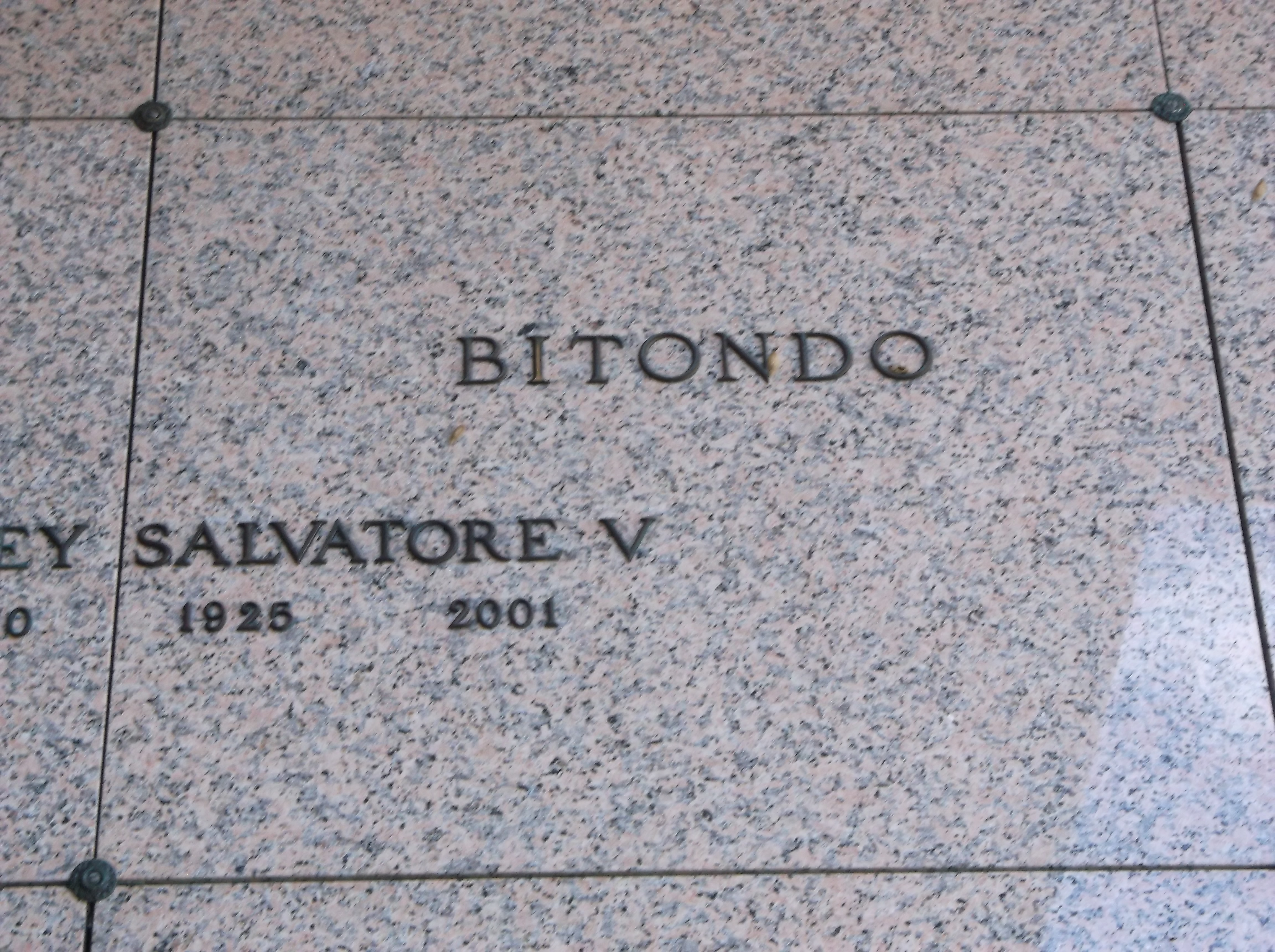 Salvatore V Bitondo