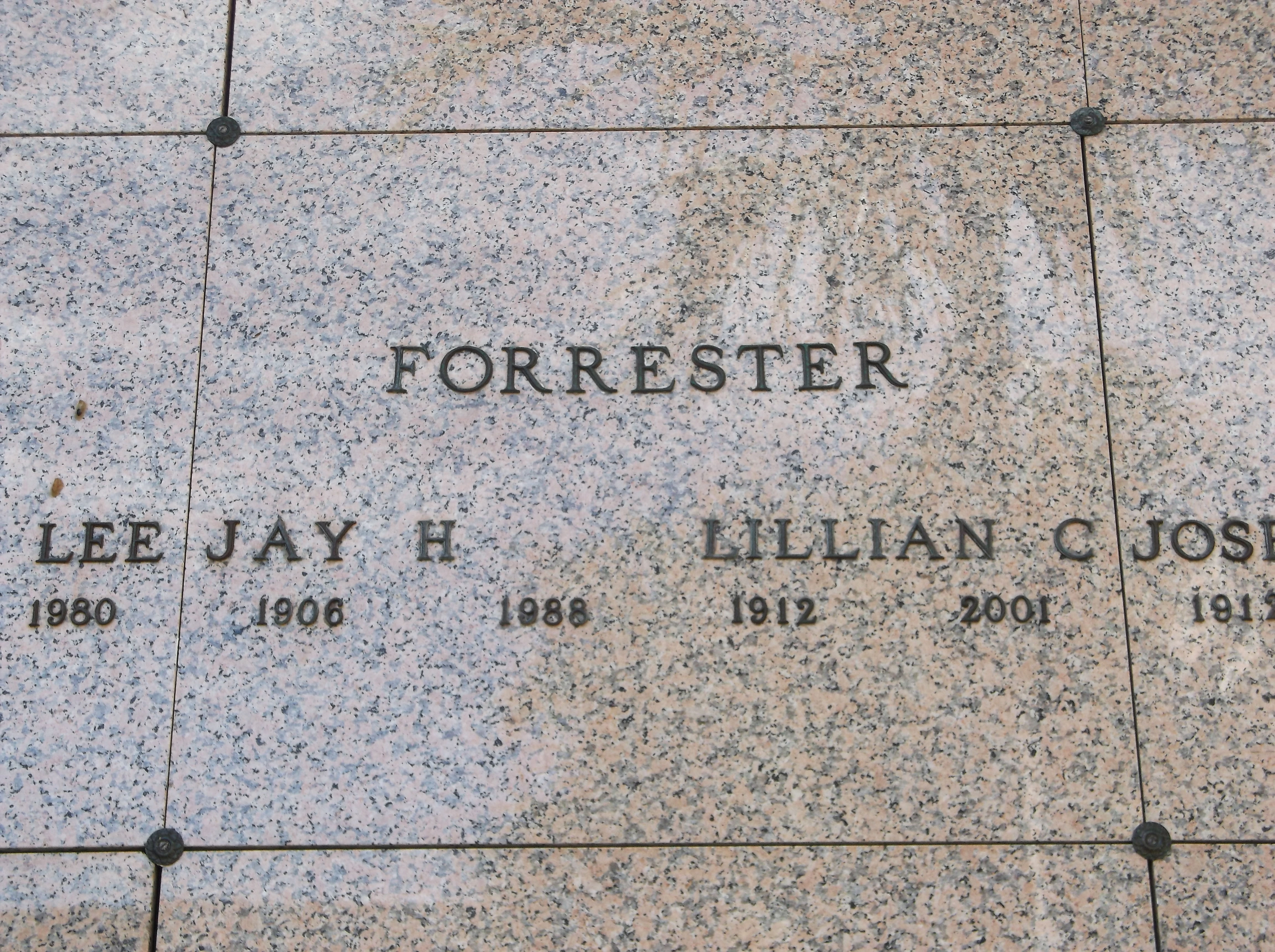 Jay H Forrester
