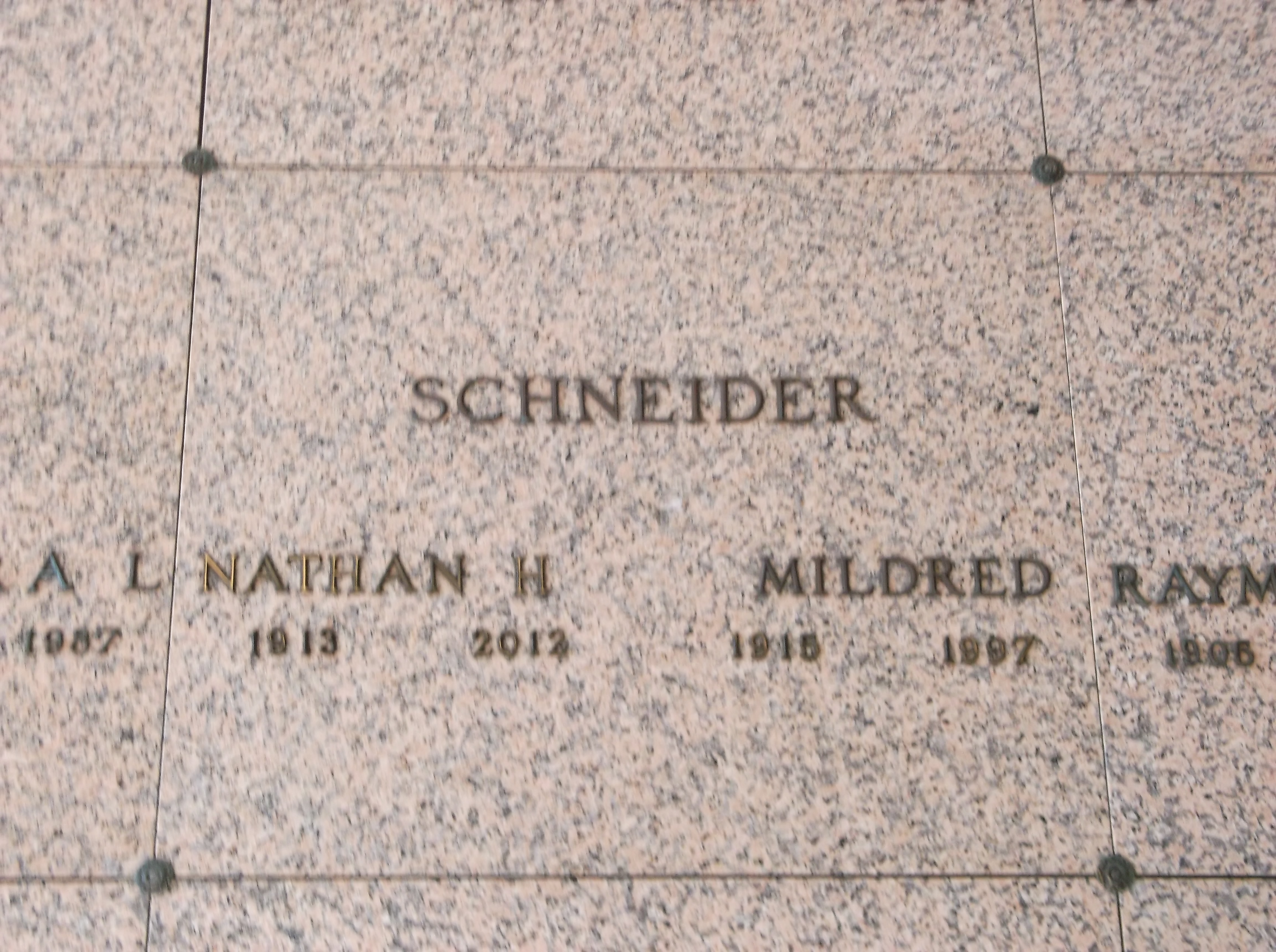 Nathan H Schneider