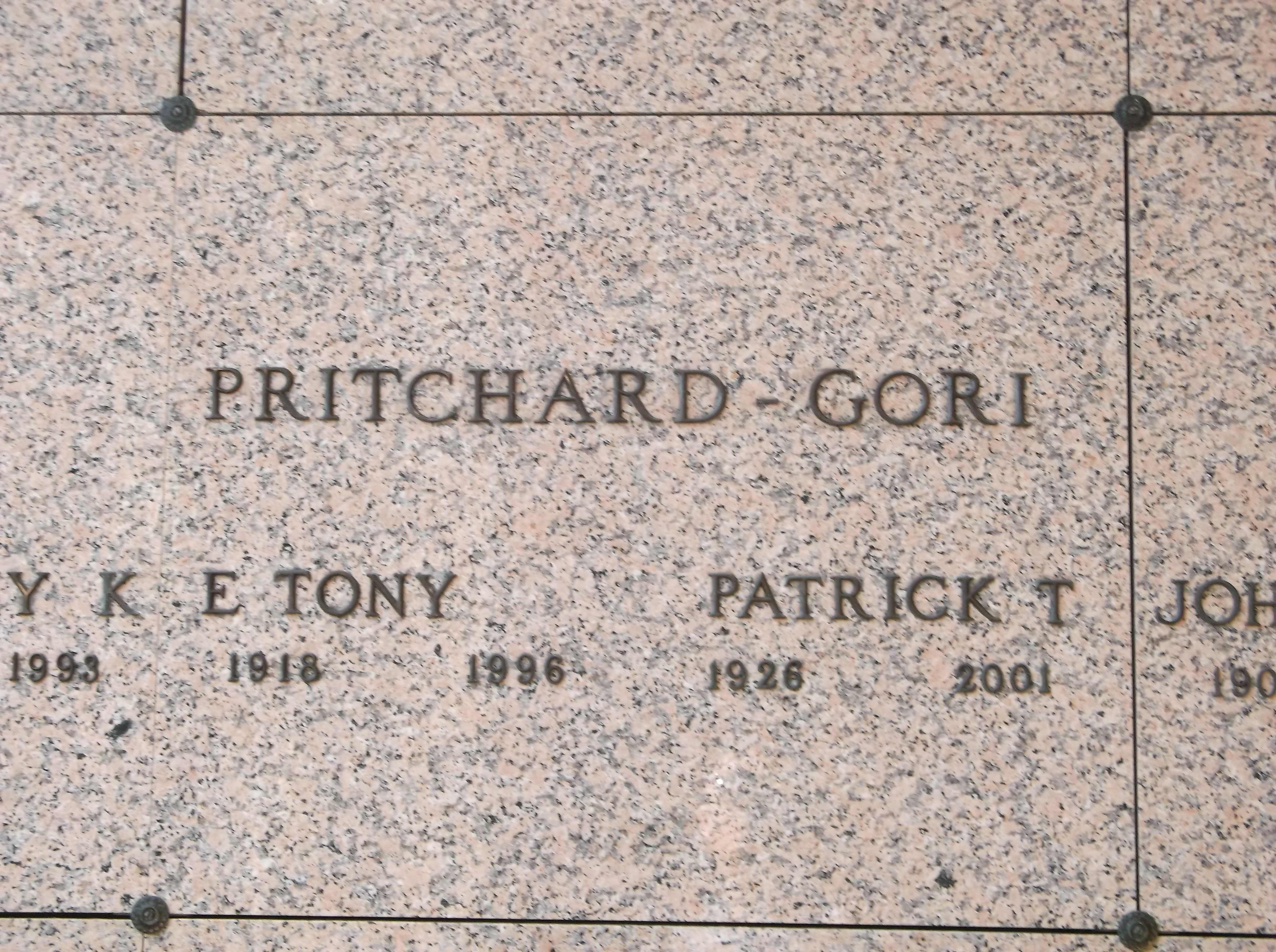 Patrick T Pritchard-Gori