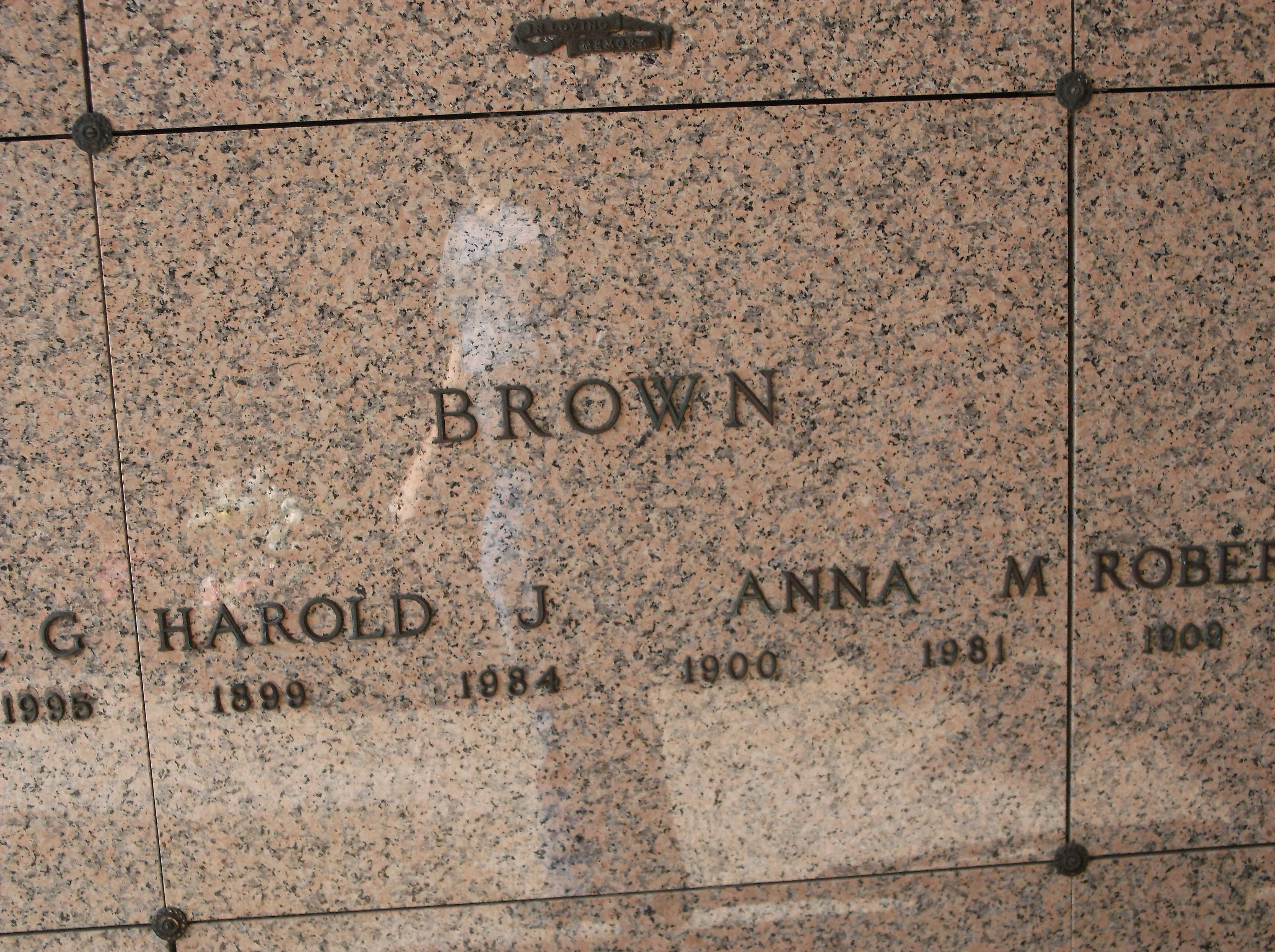 Harold J Brown