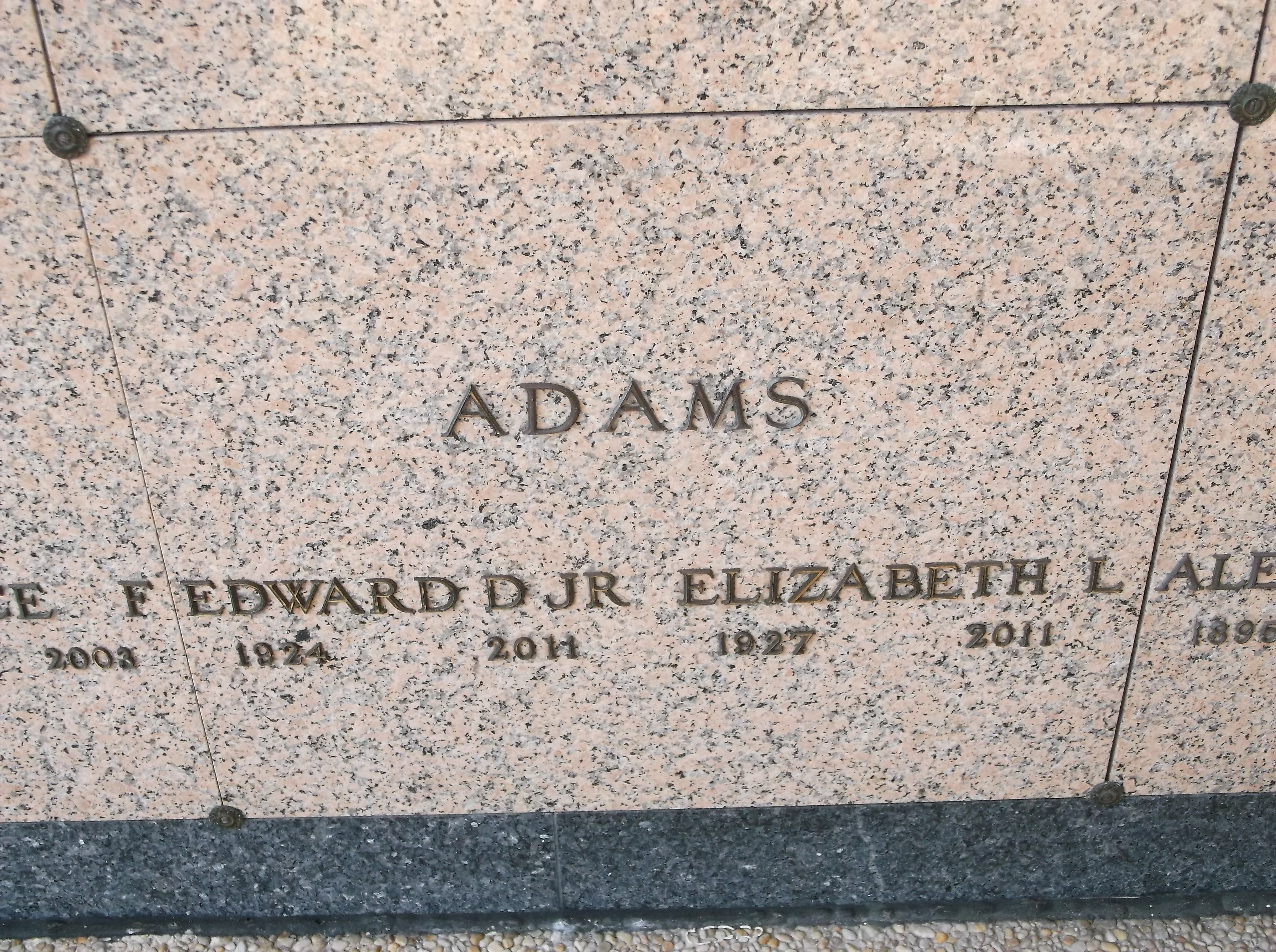 Elizabeth L Adams