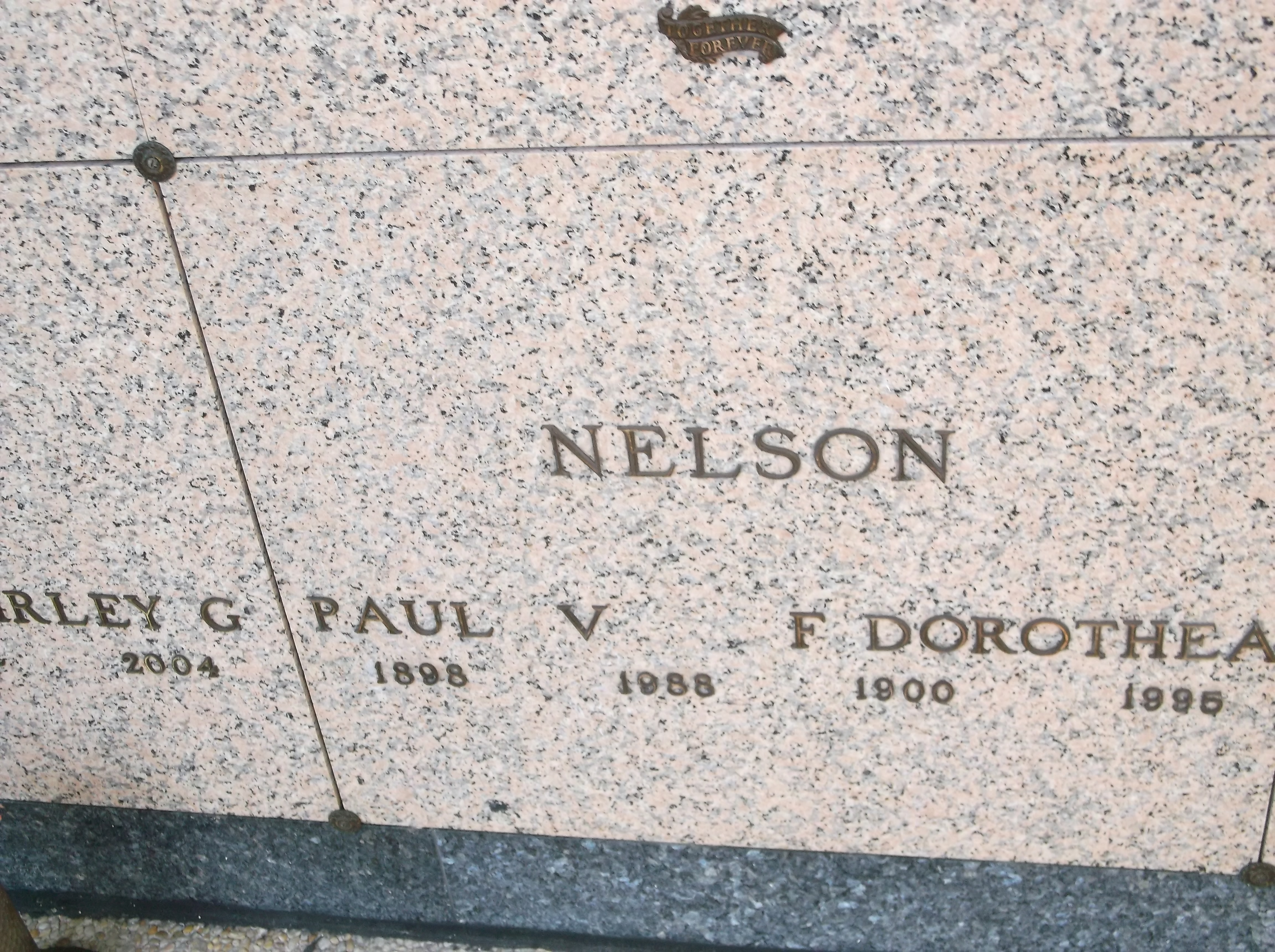 Paul V Nelson