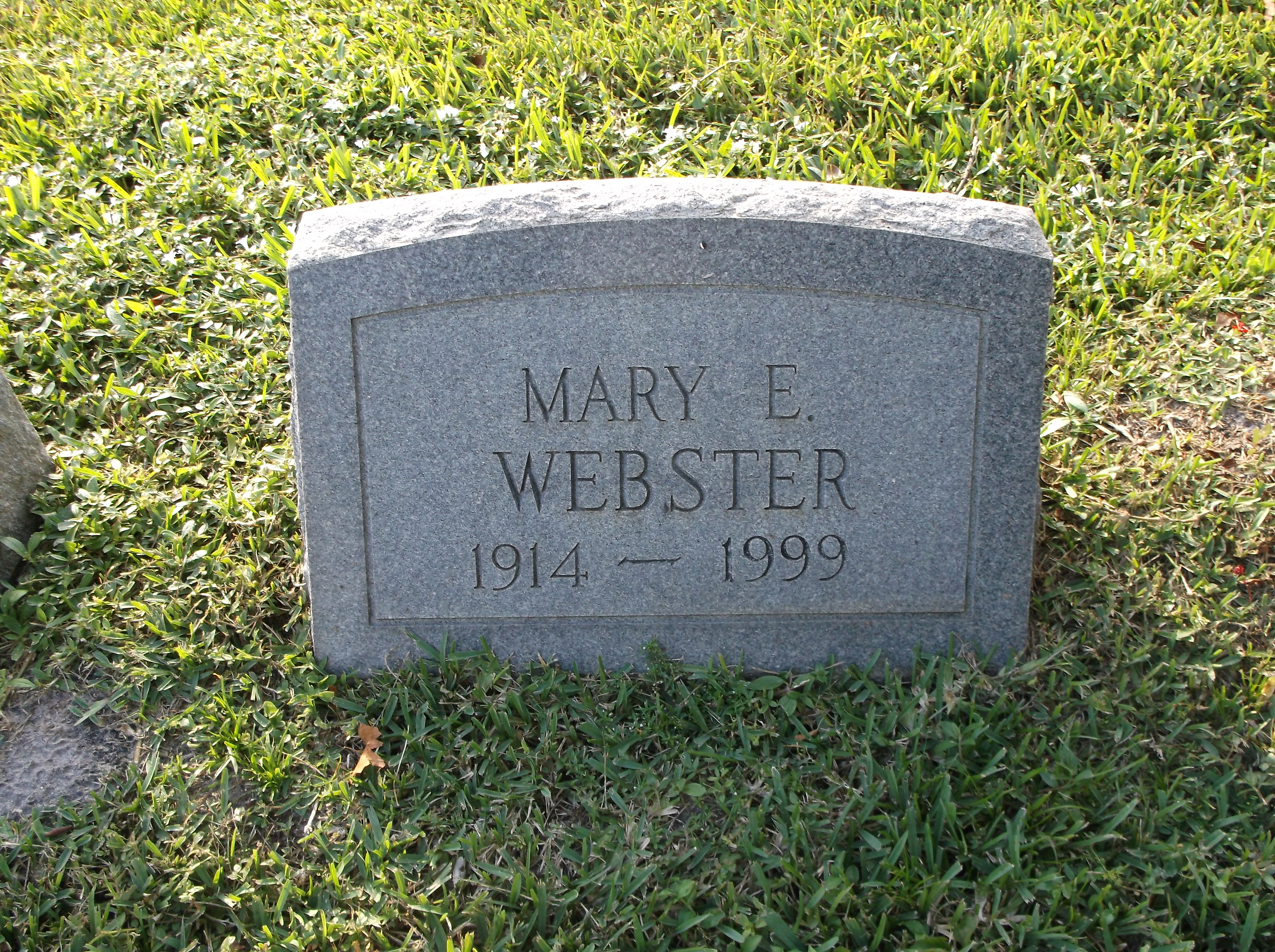 Mary E Webster