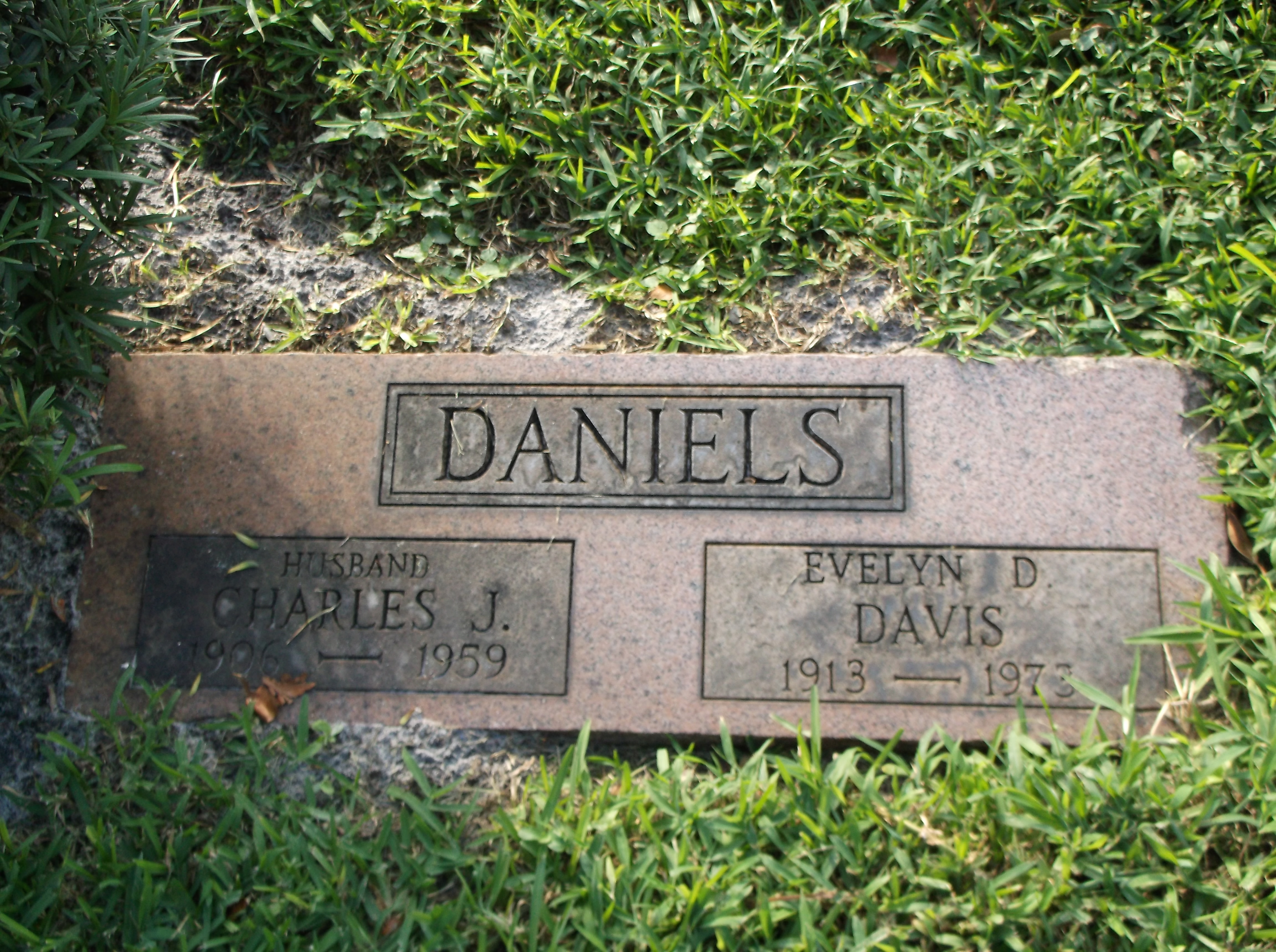 Evelyn D Davis Daniels