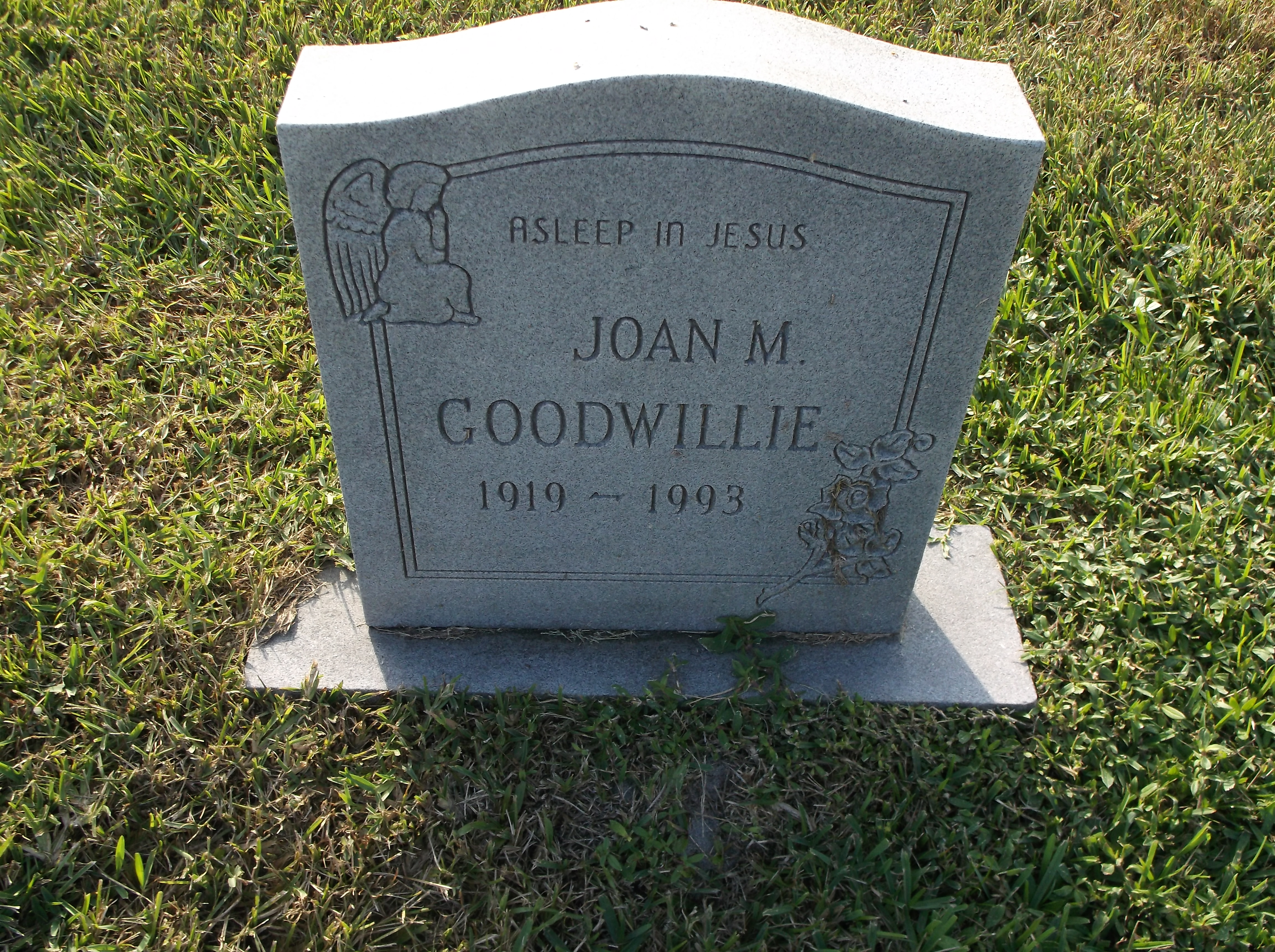 Joan M Goodwillie