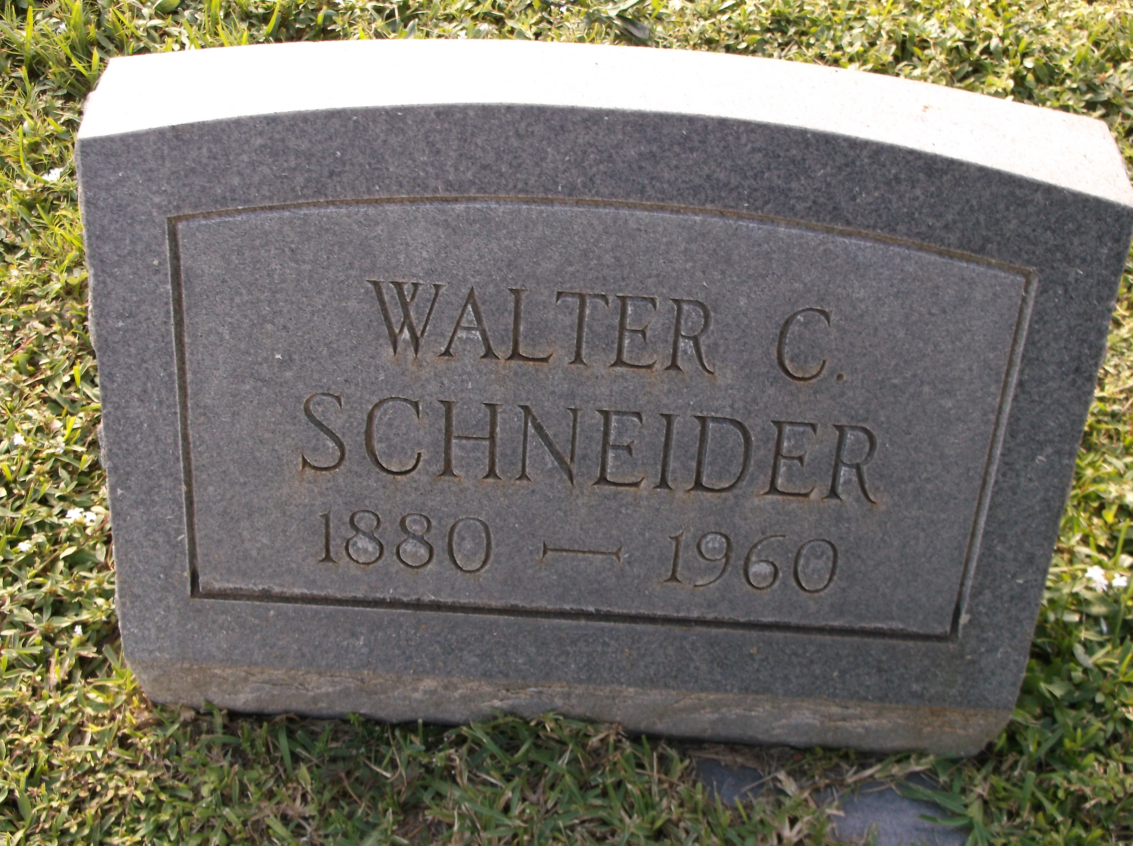 Walter C Schneider