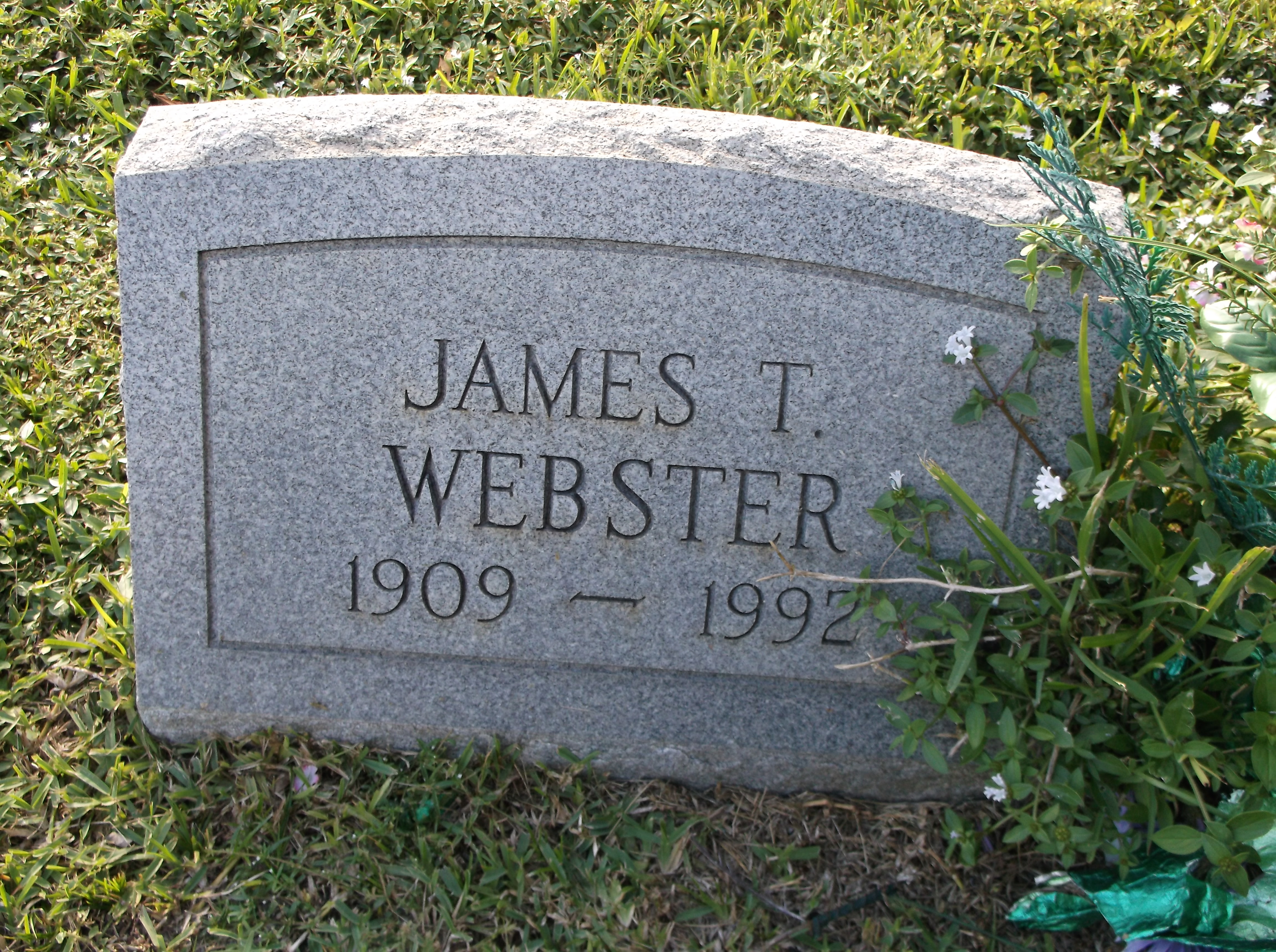 James T Webster