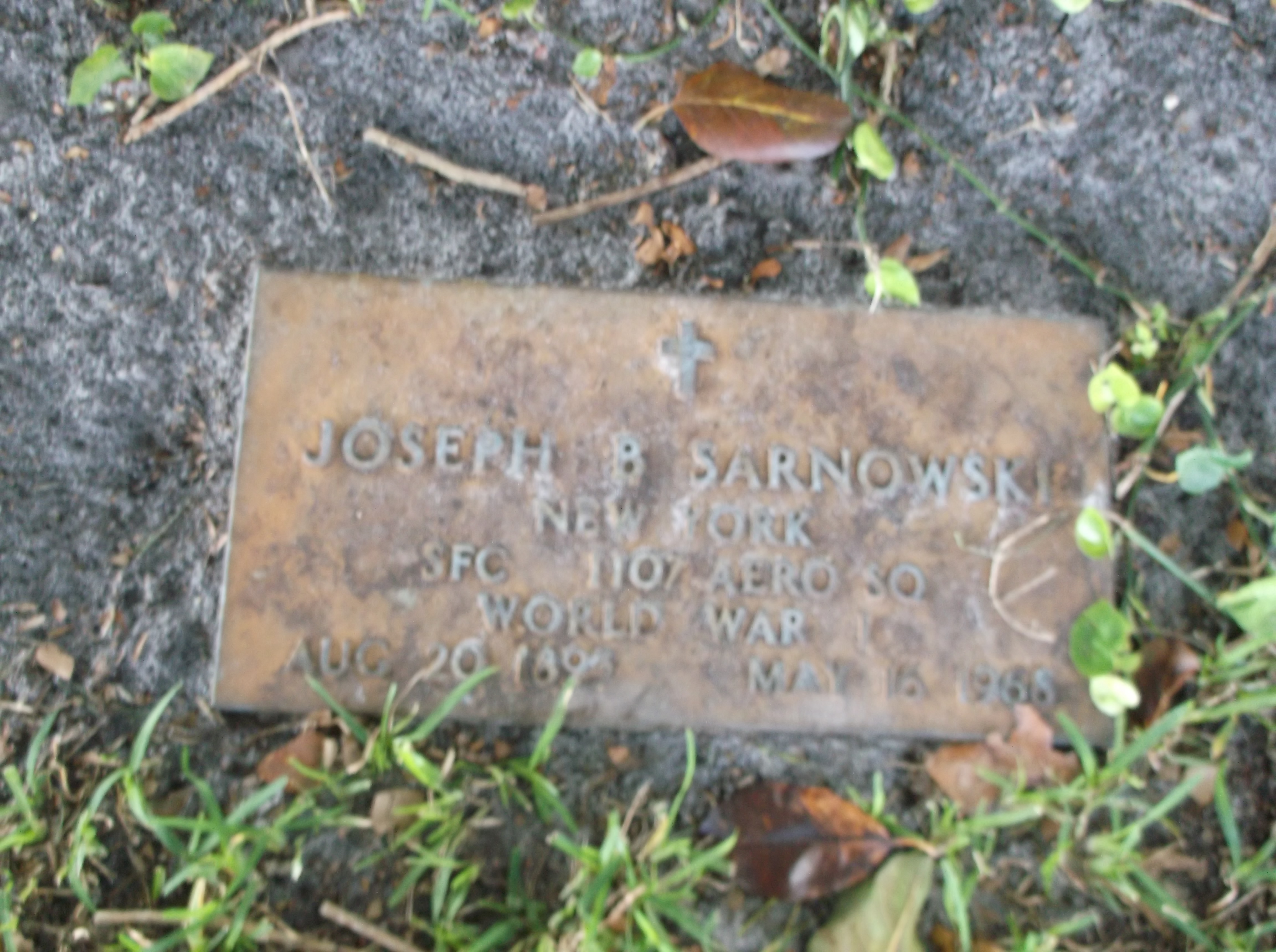 Joseph B Sarnowski