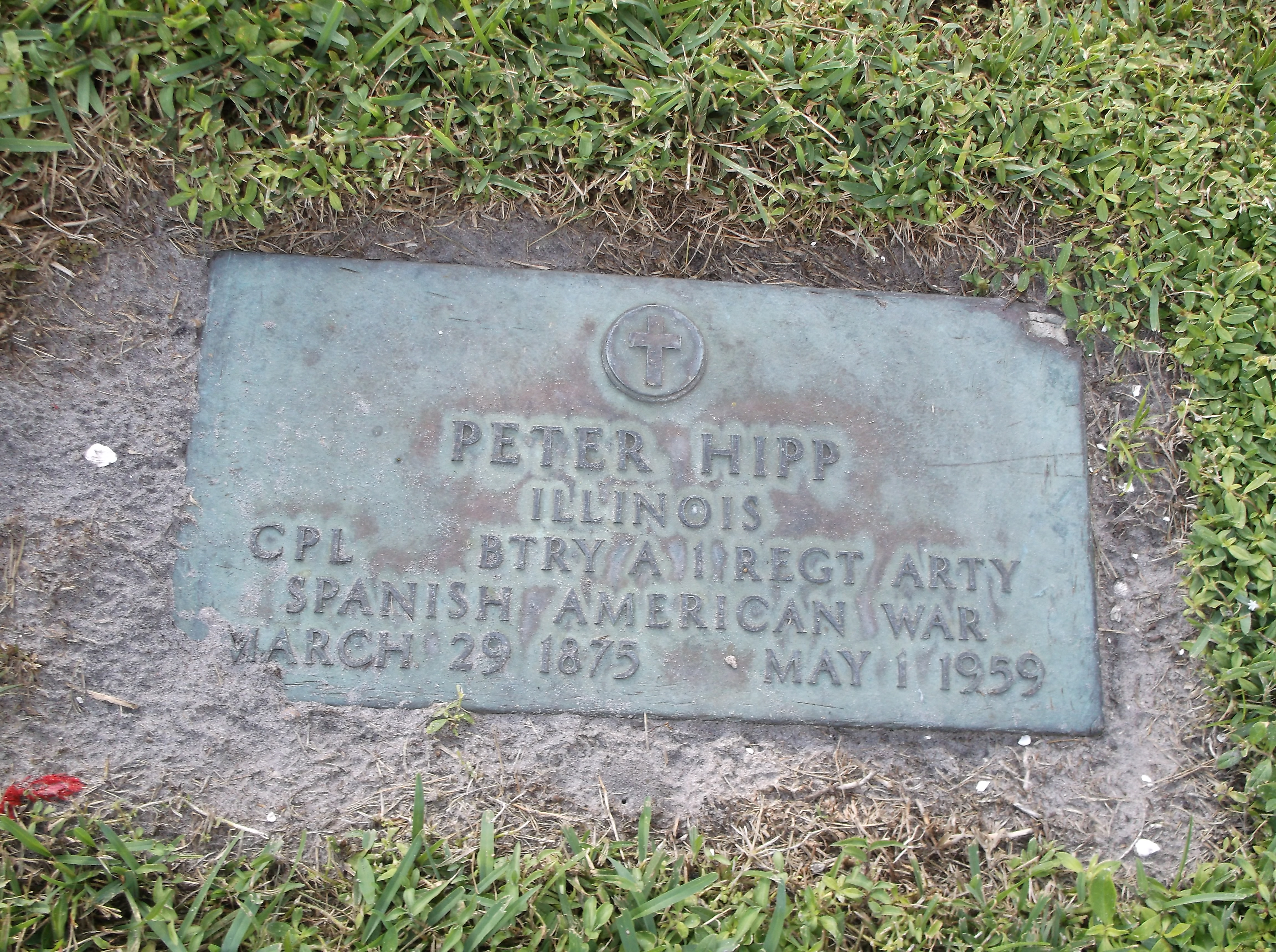 Peter Hipp