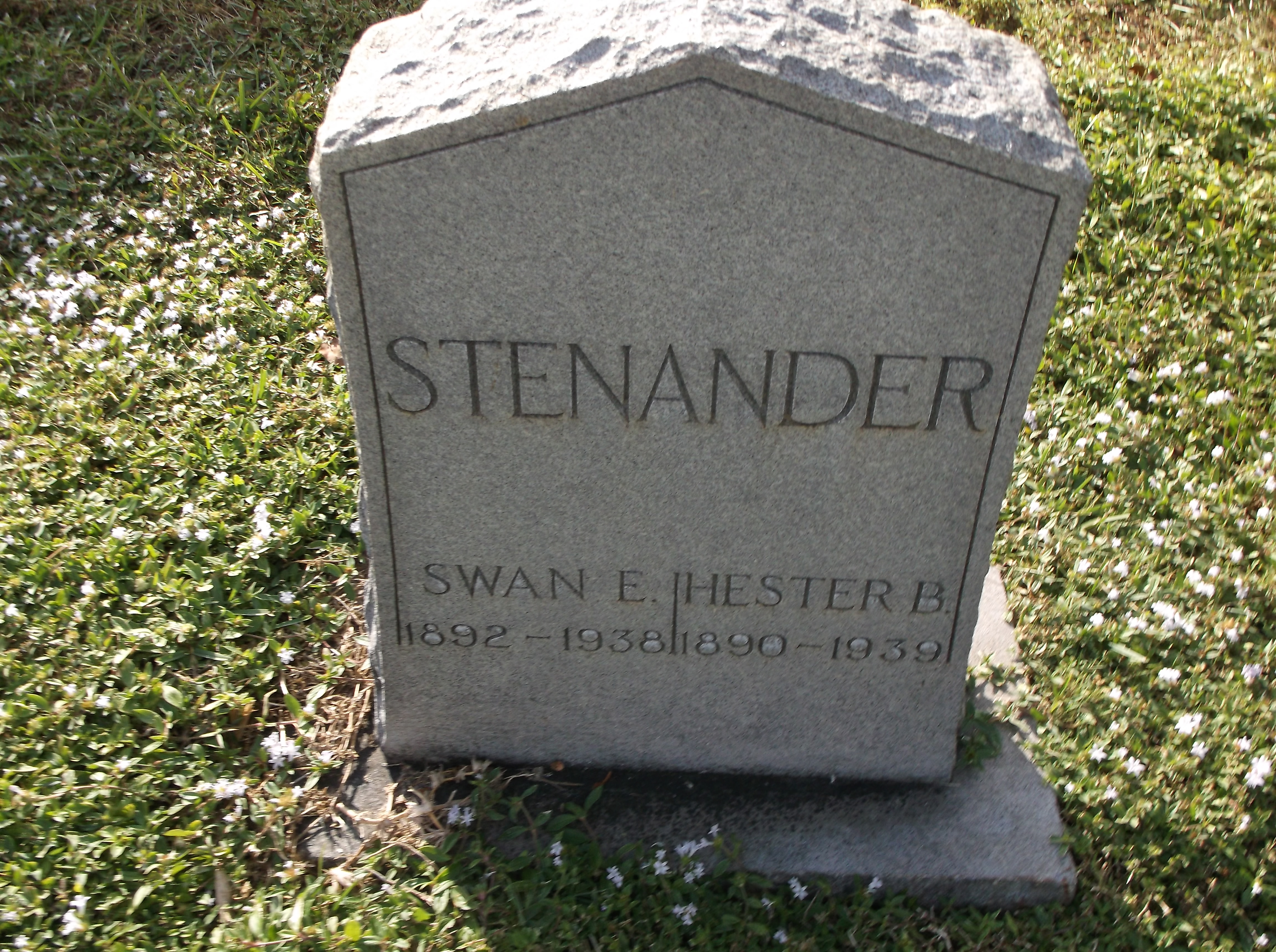 Swan E Stenander
