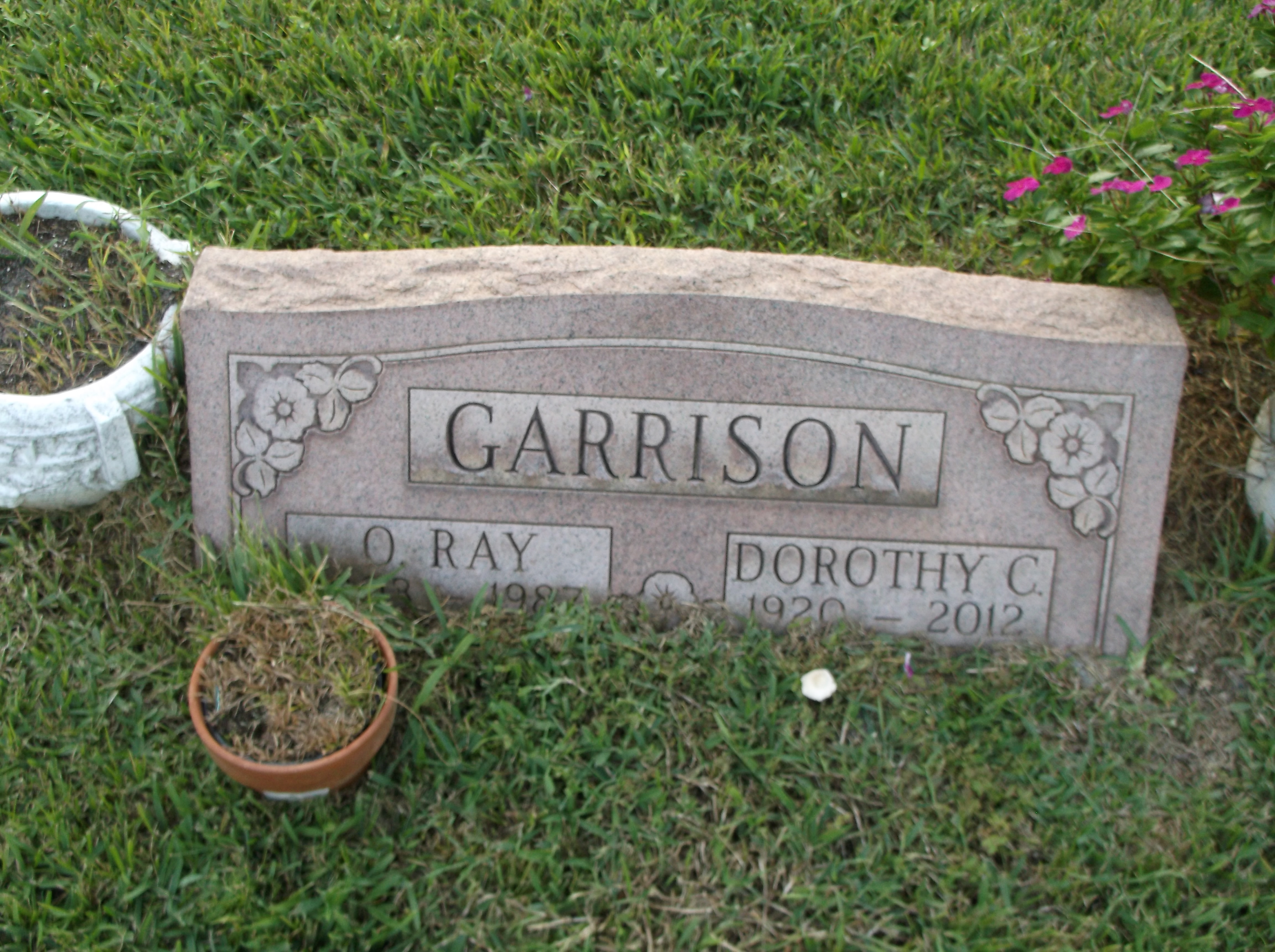Dorothy C Garrison