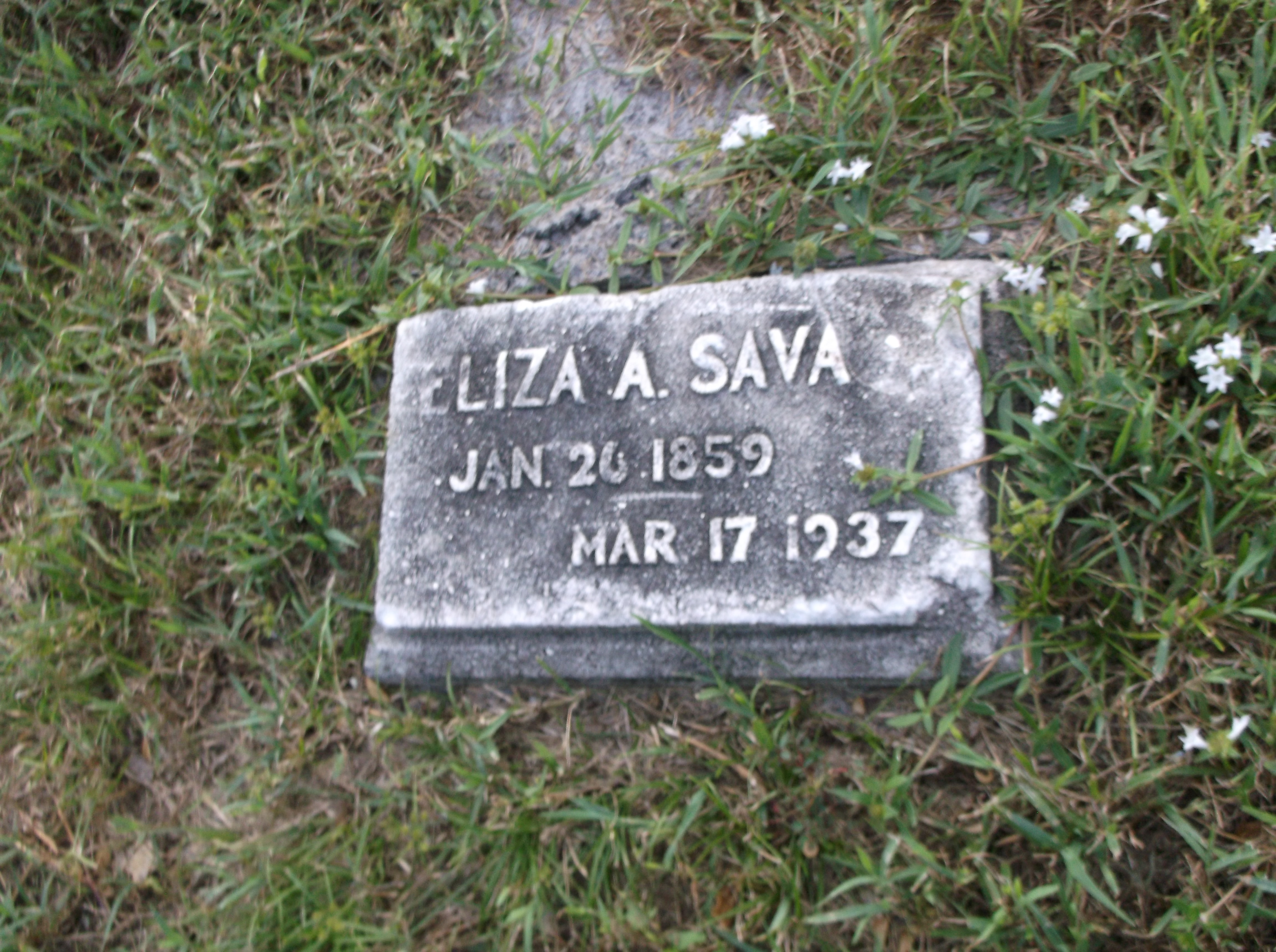 Eliza A Sava