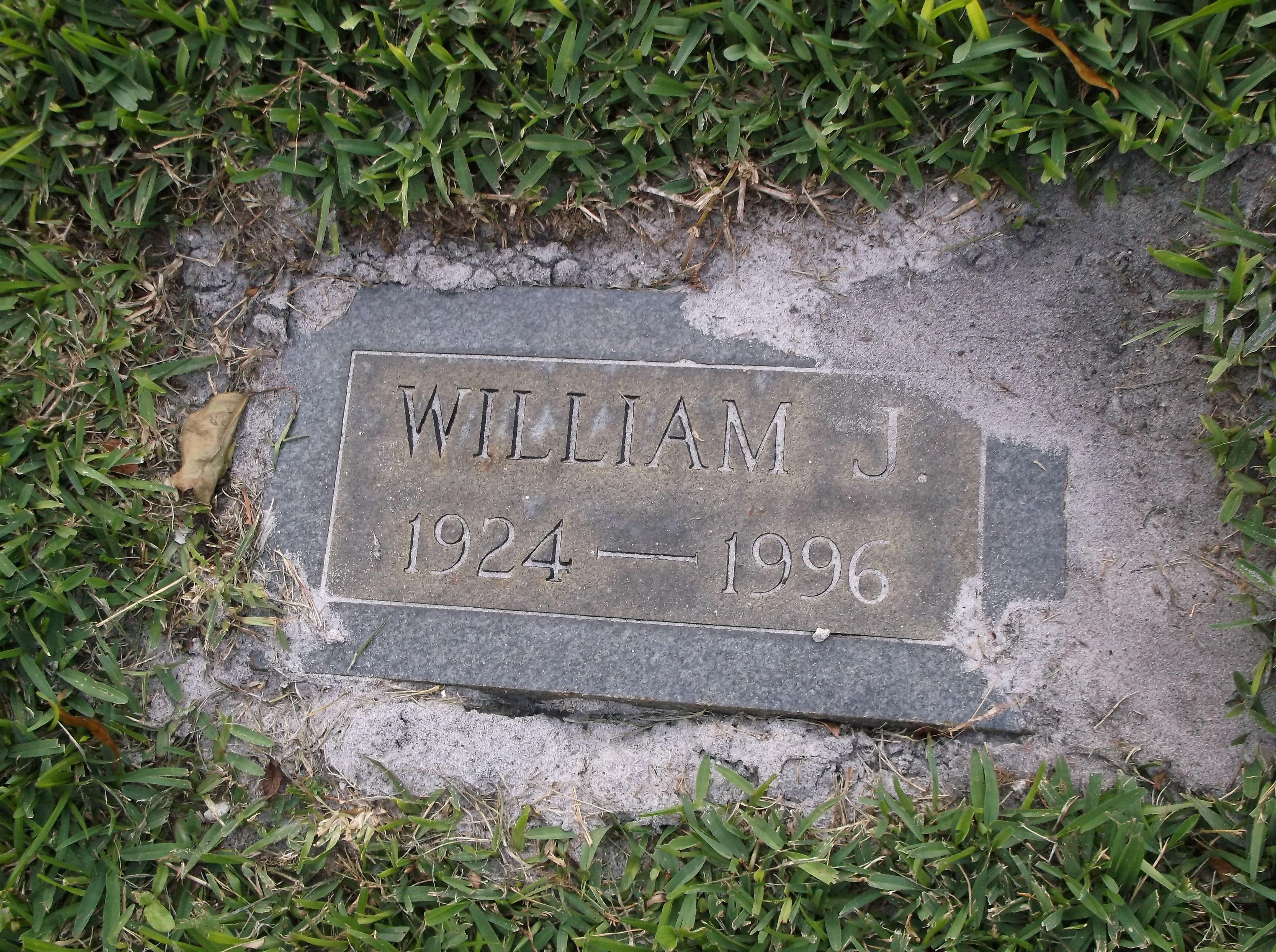 William J Day