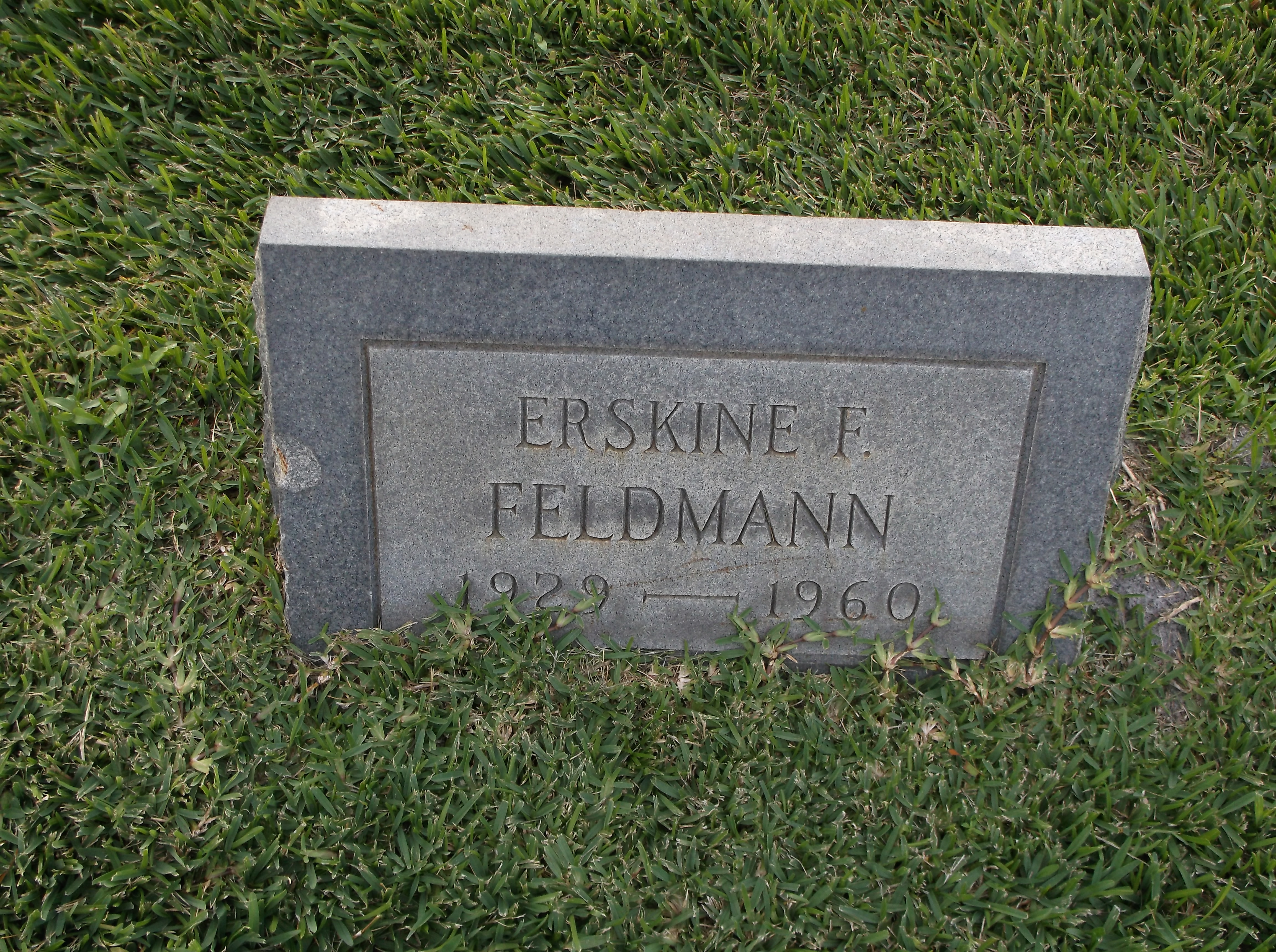 Erskine F Feldman