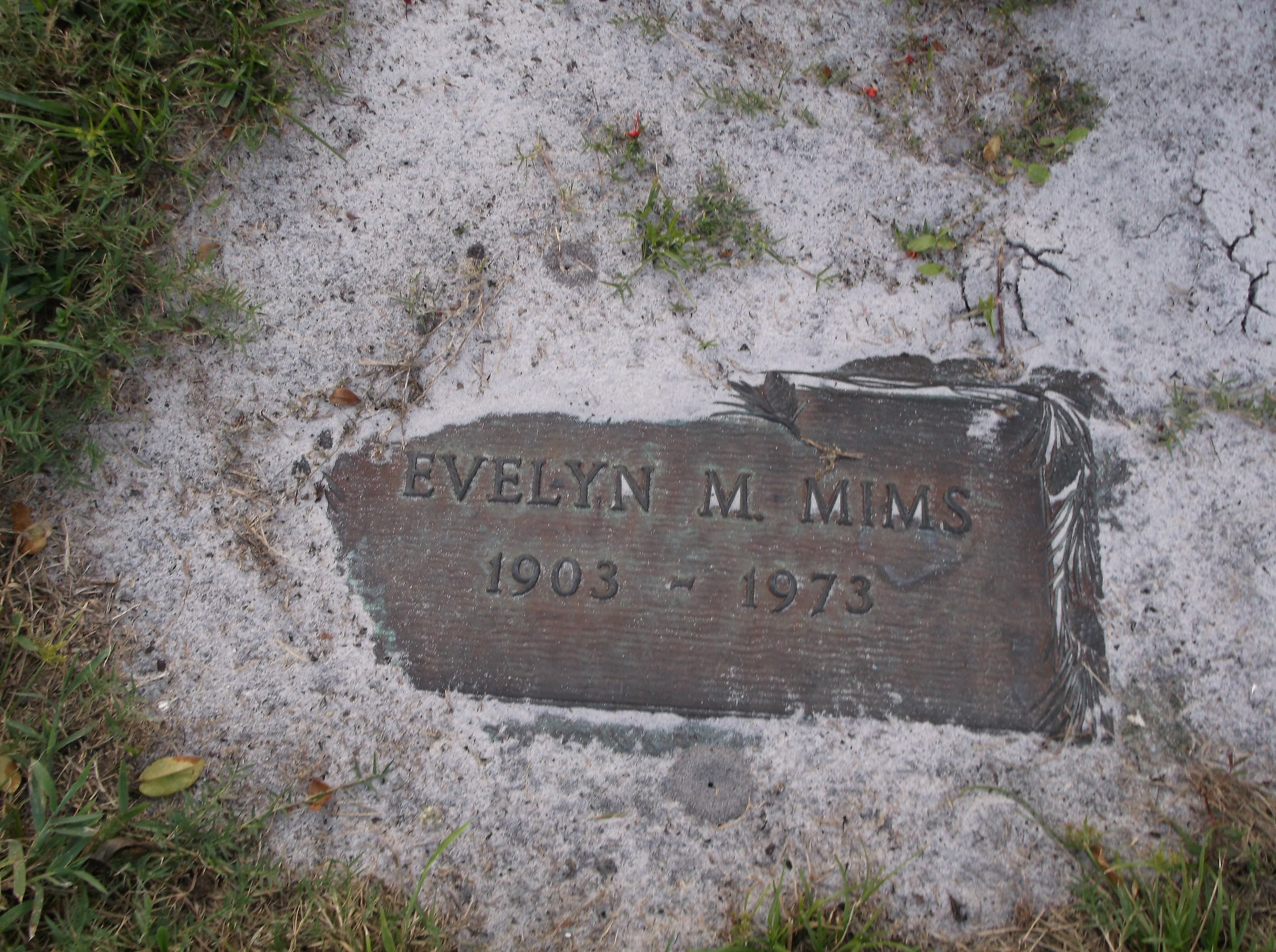 Evelyn M Mims