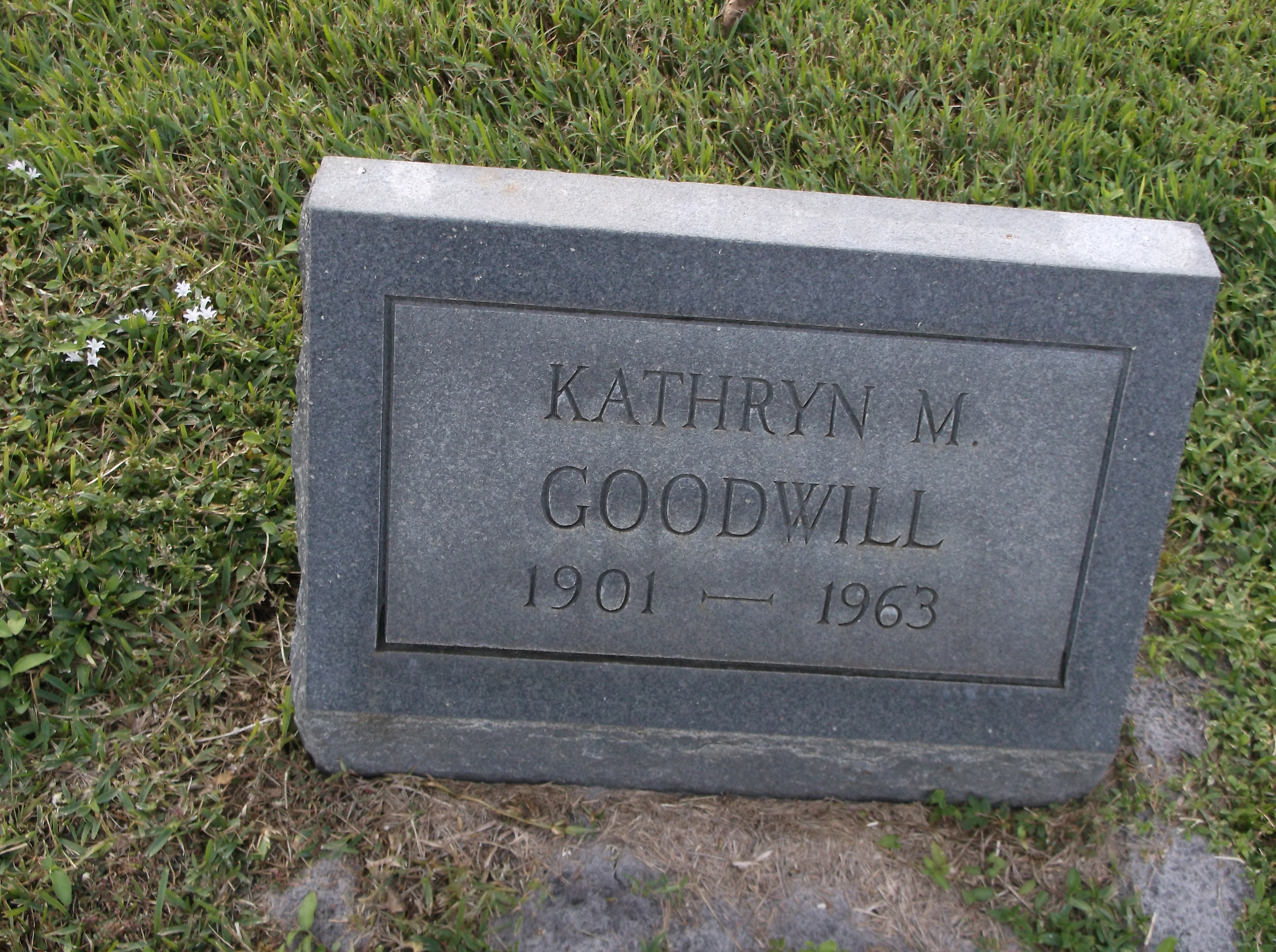 Kathryn M Goodwill