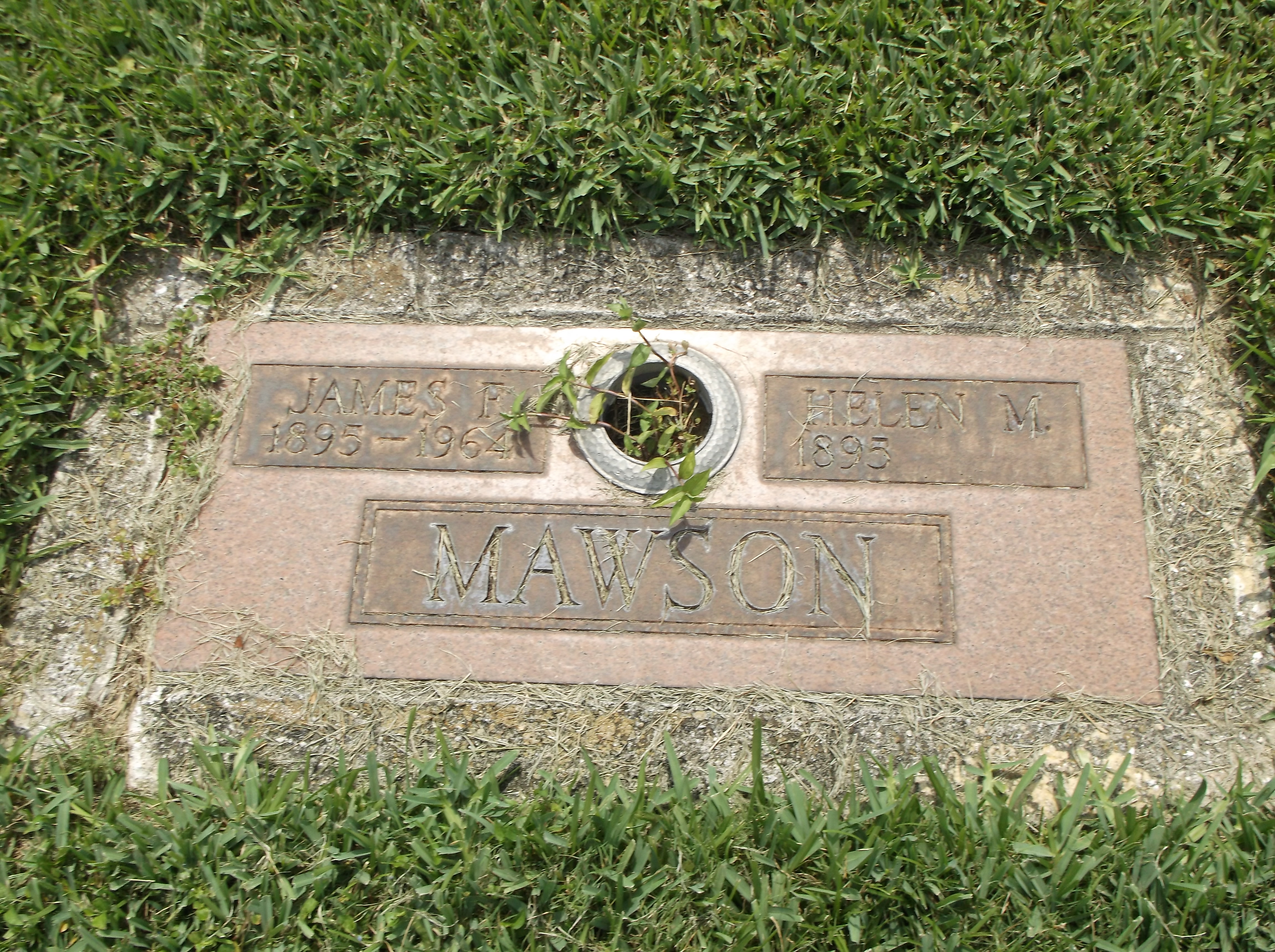 Helen M Mawson