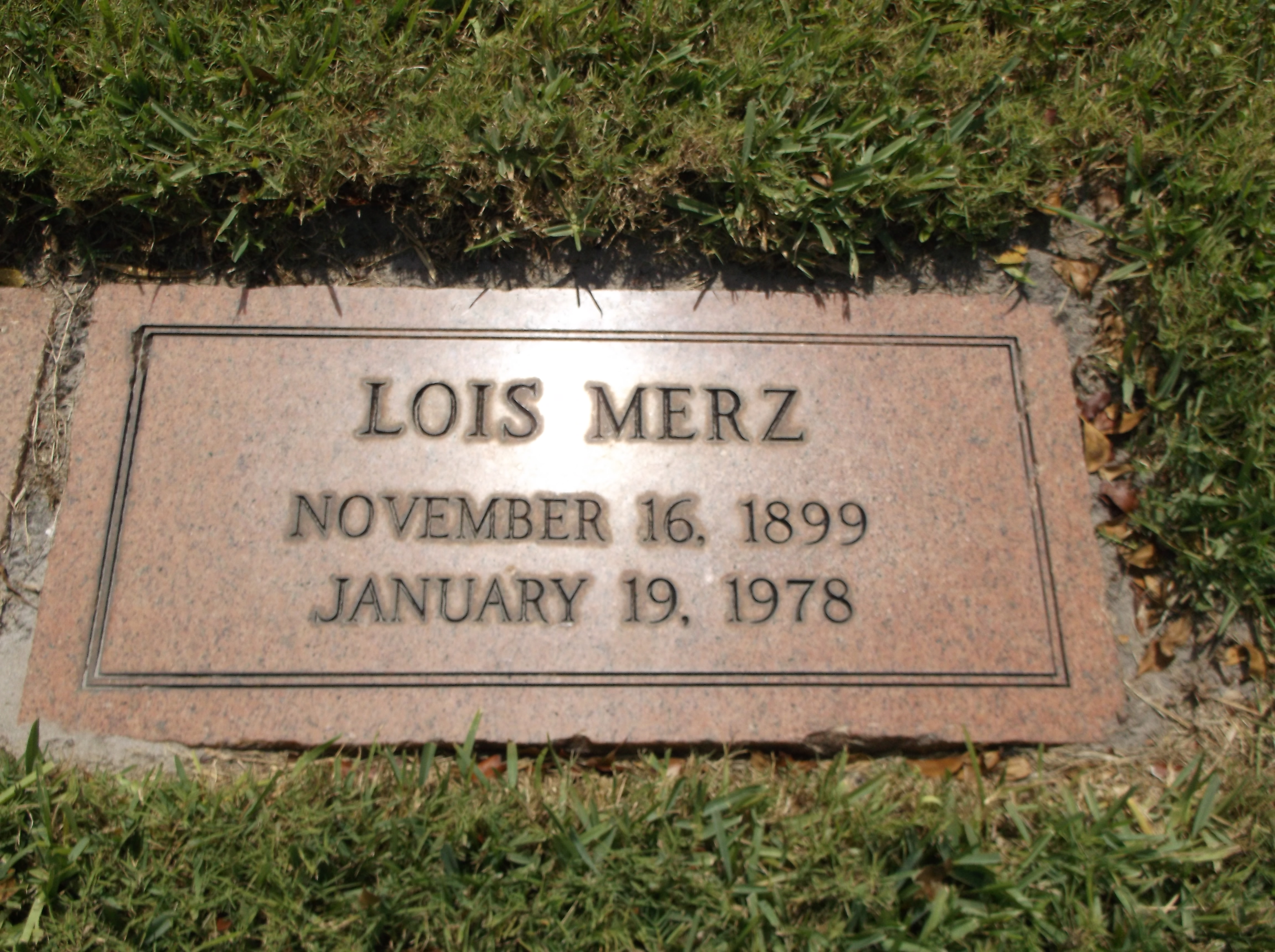 Lois Merz