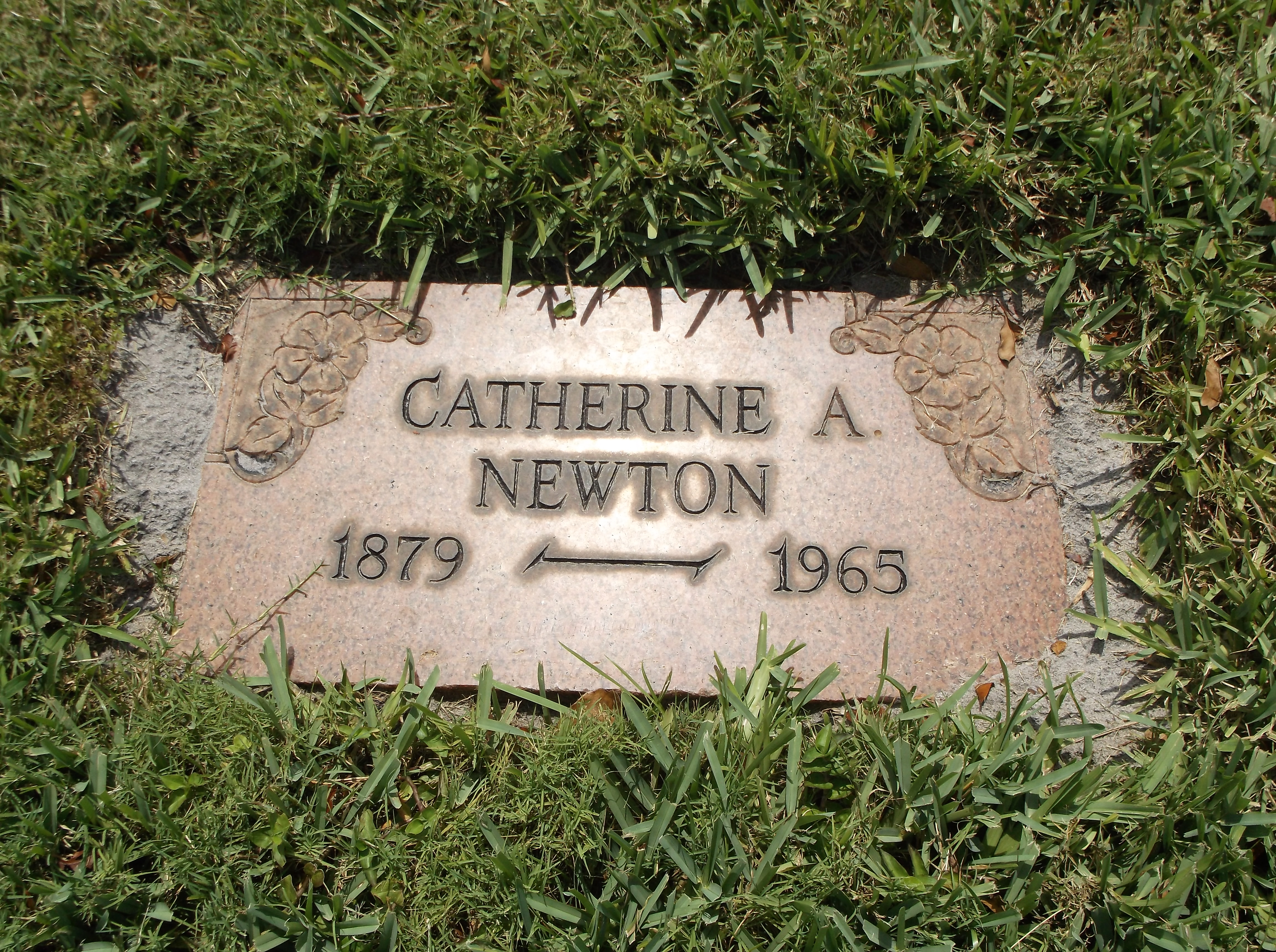 Catherine A Newton