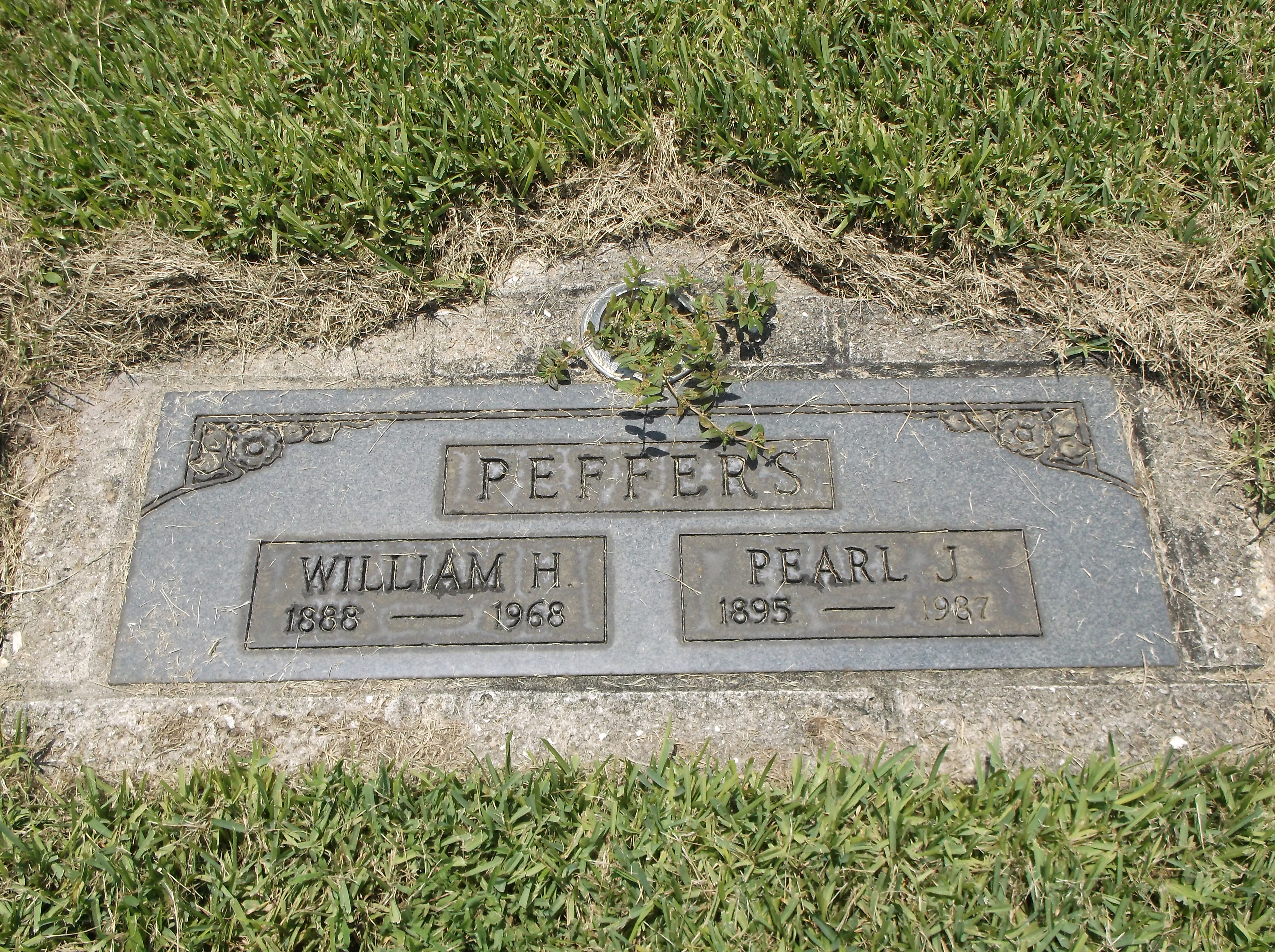 Pearl J Peffers