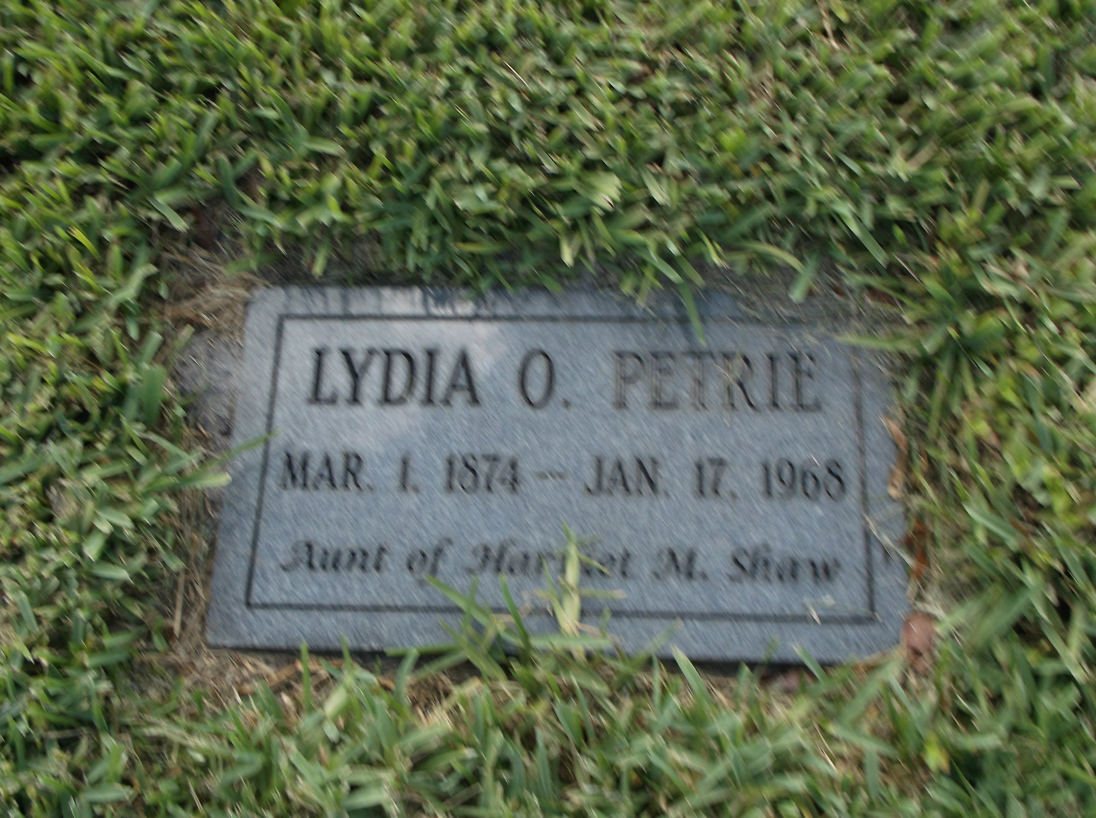 Lydia O Petrie