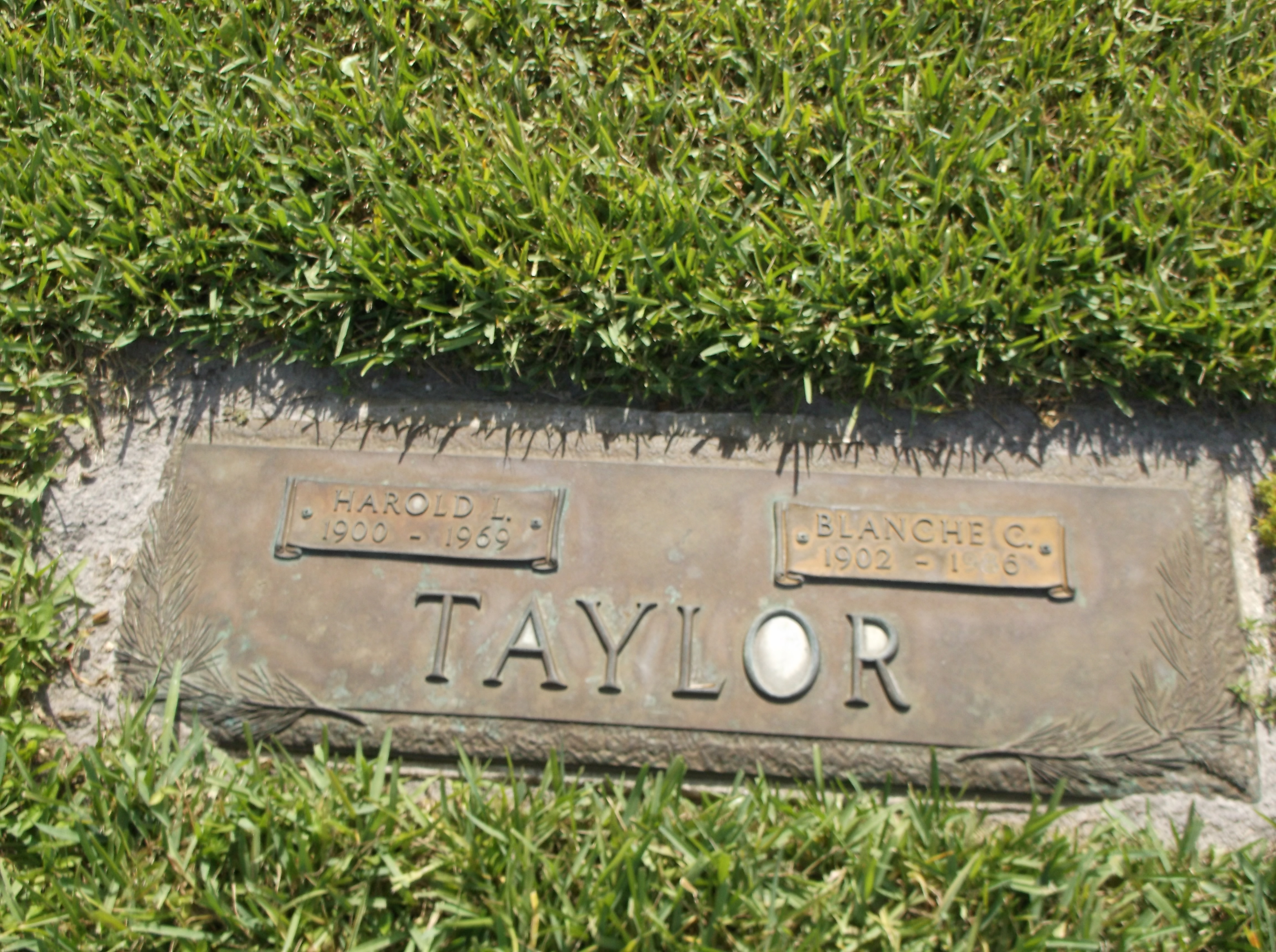 Harold L Taylor
