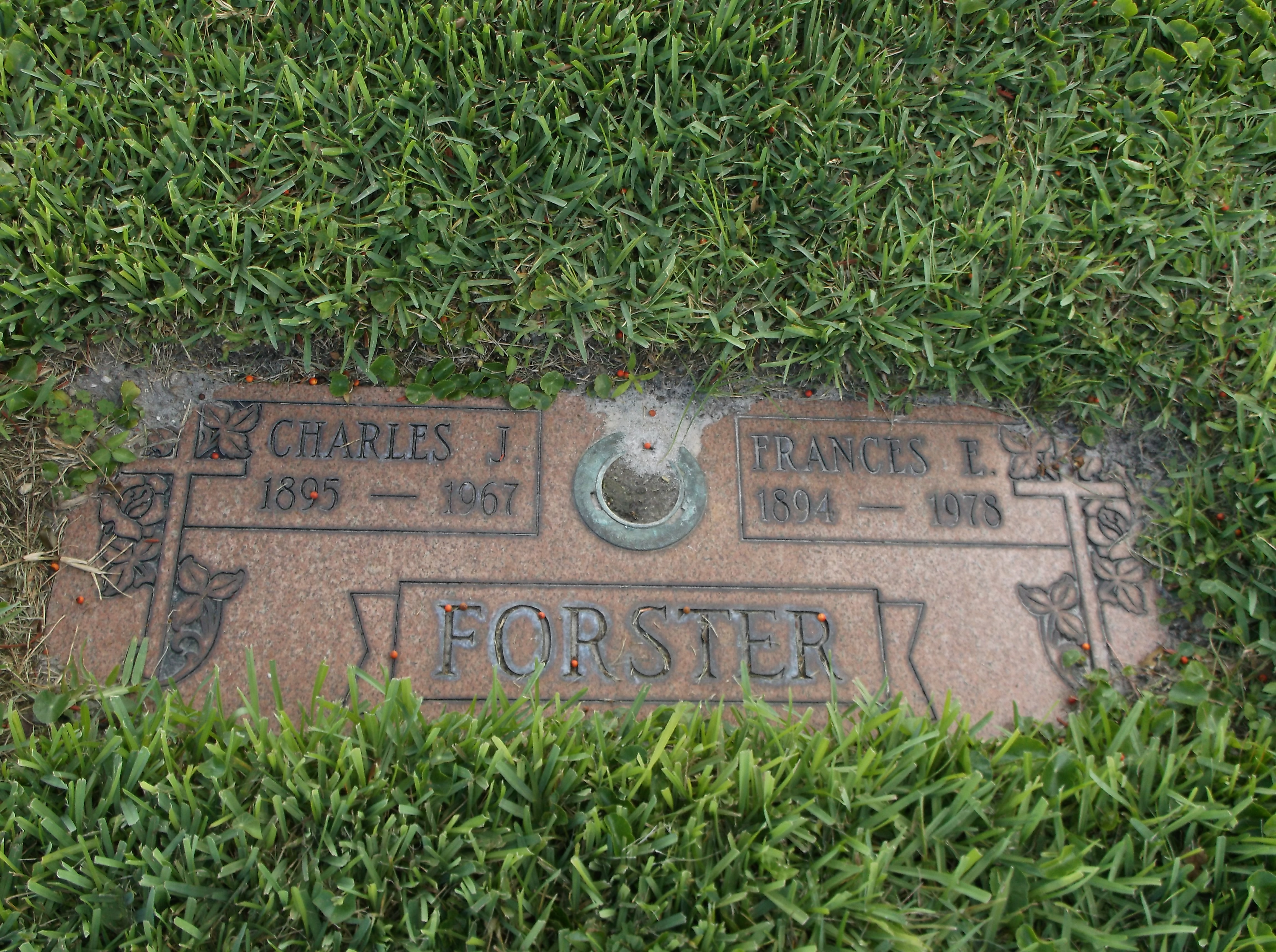 Charles J Forster