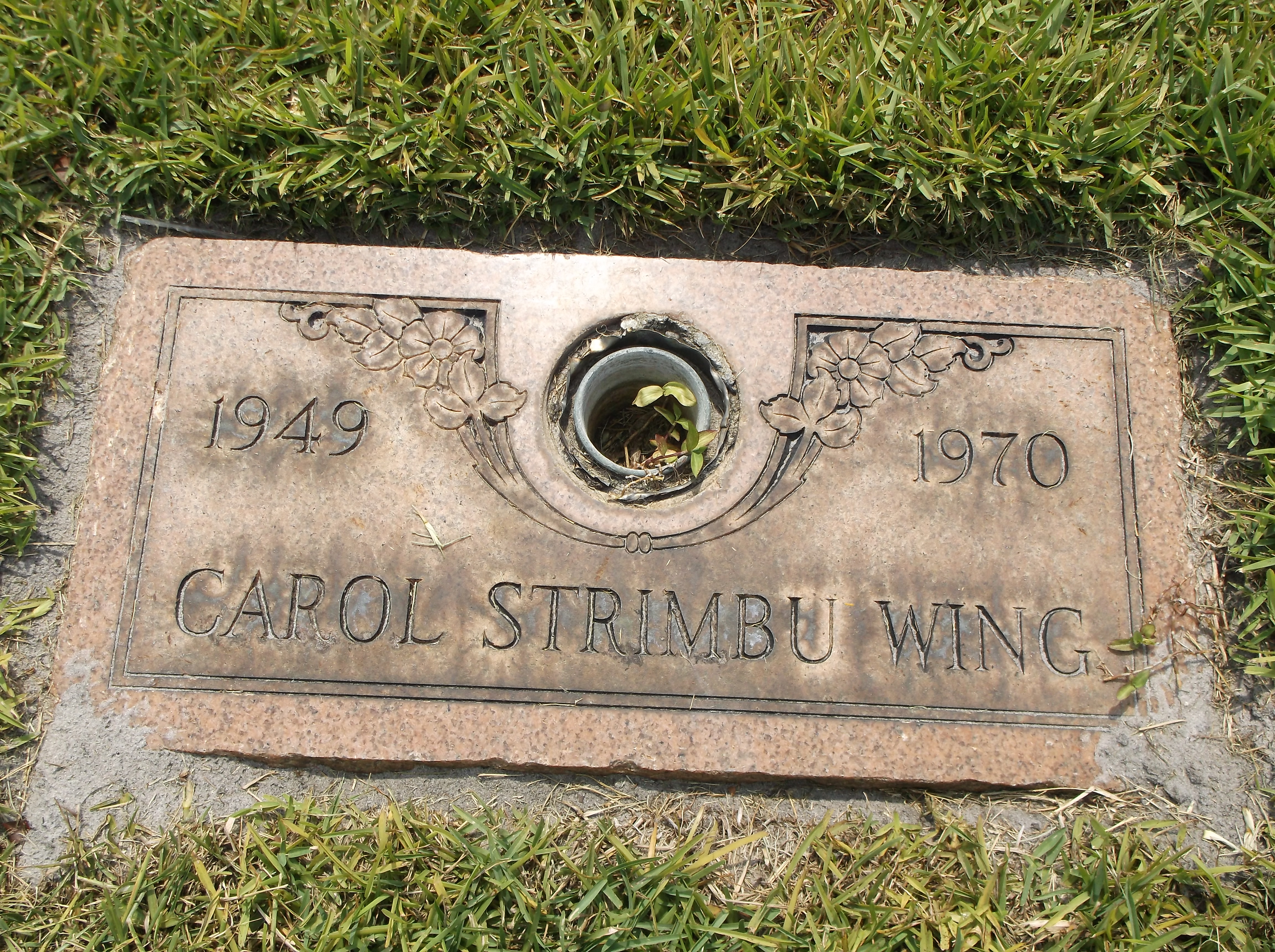 Carol Strimbu Wing