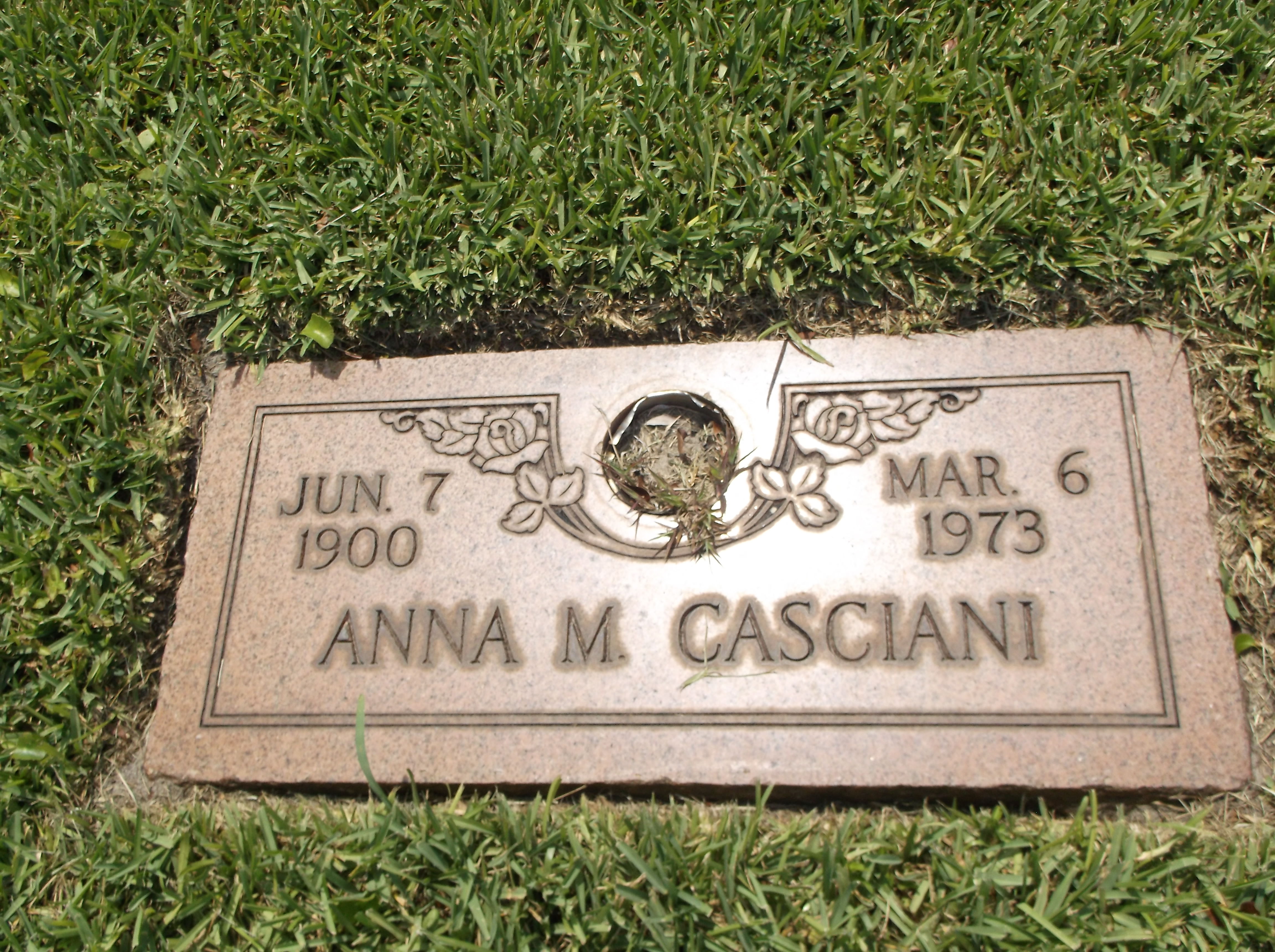 Anna M Casciani