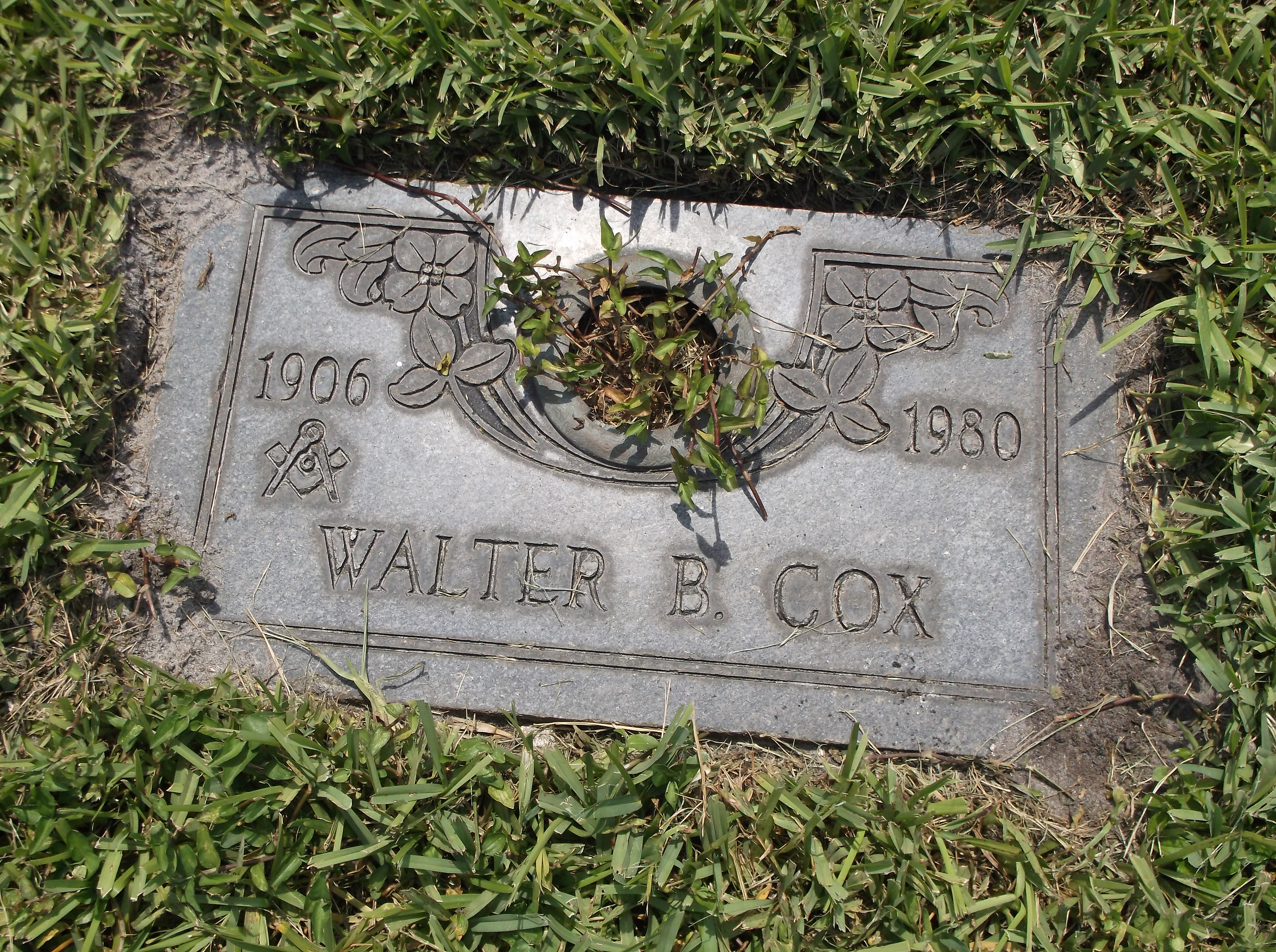 Walter B Cox