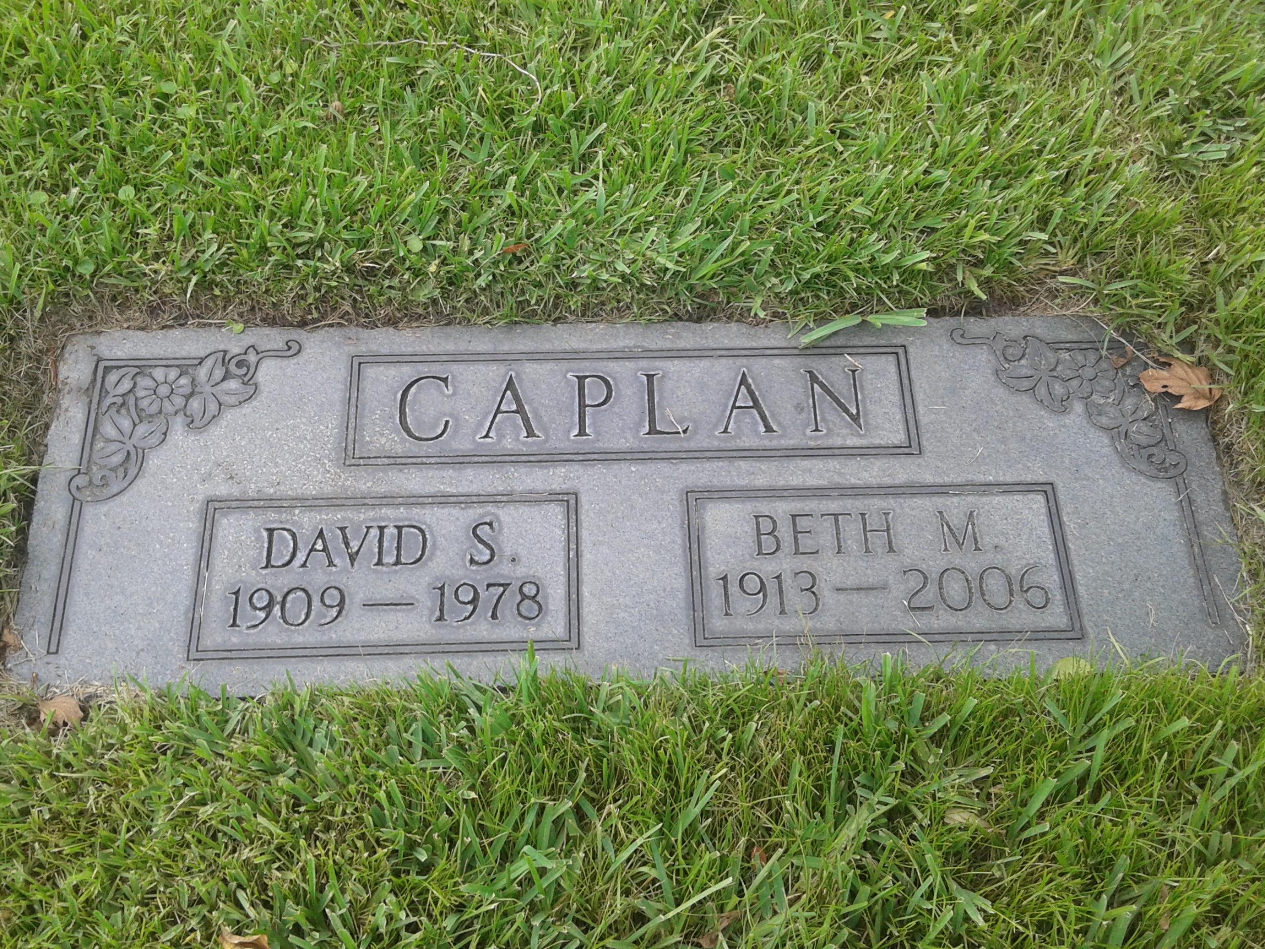 David S Caplan