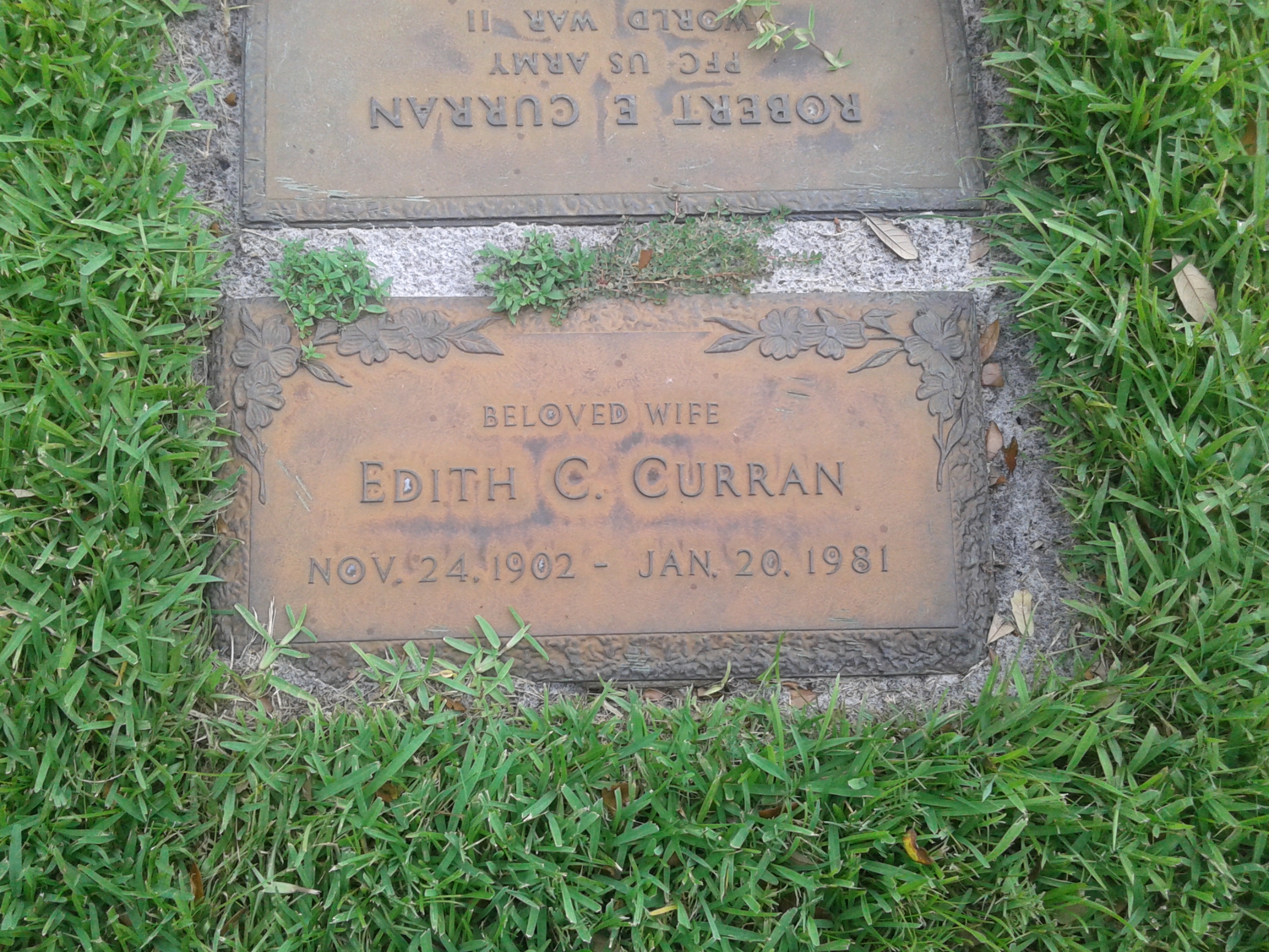 Edith C Curran