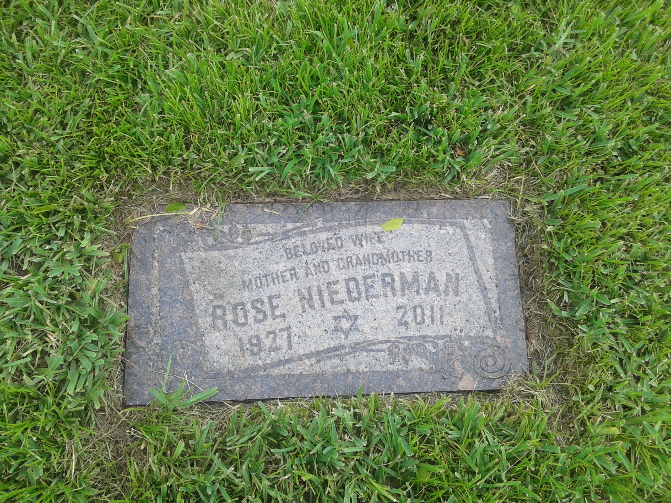 Rose Niederman