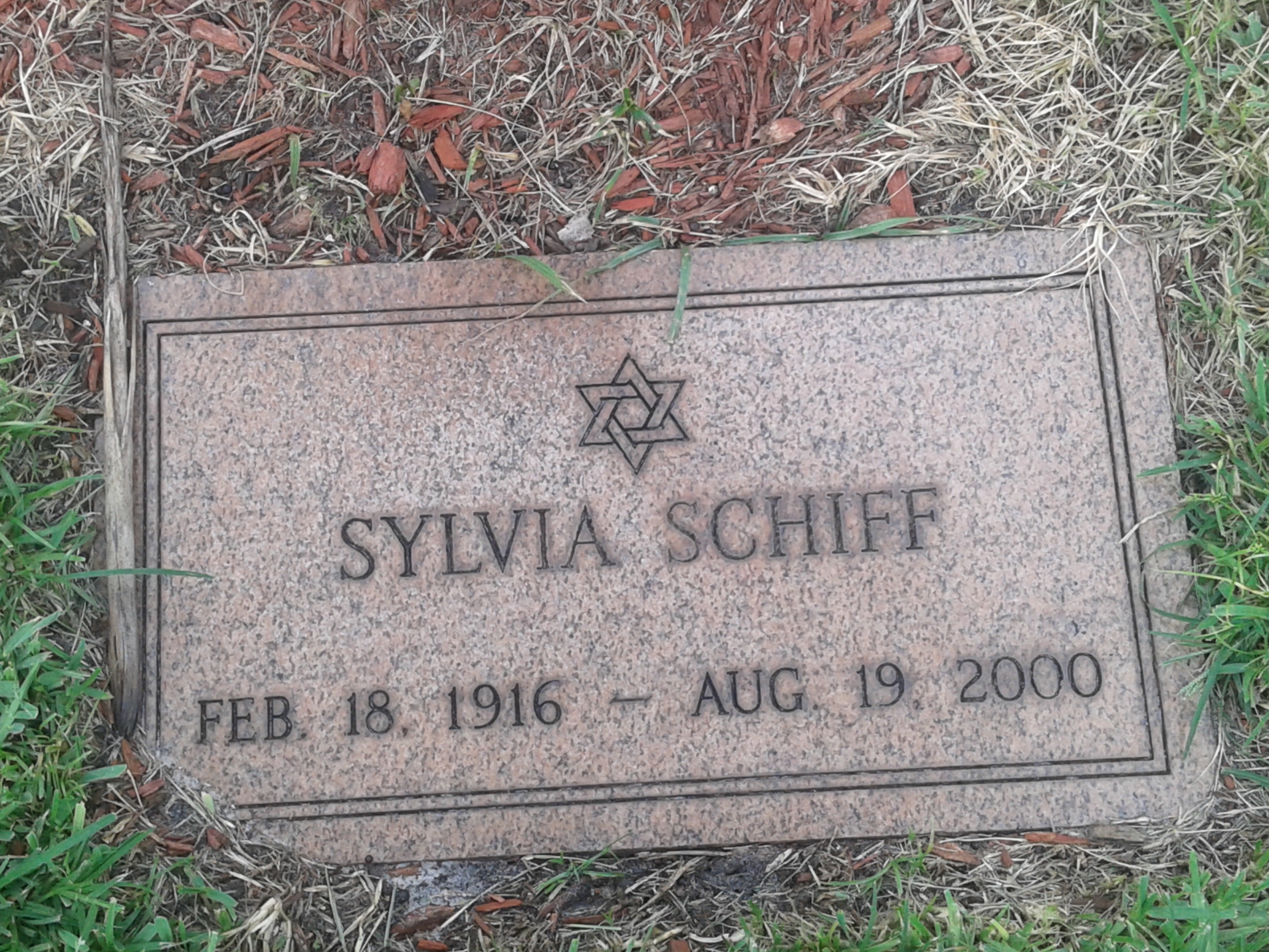 Sylvia Schiff
